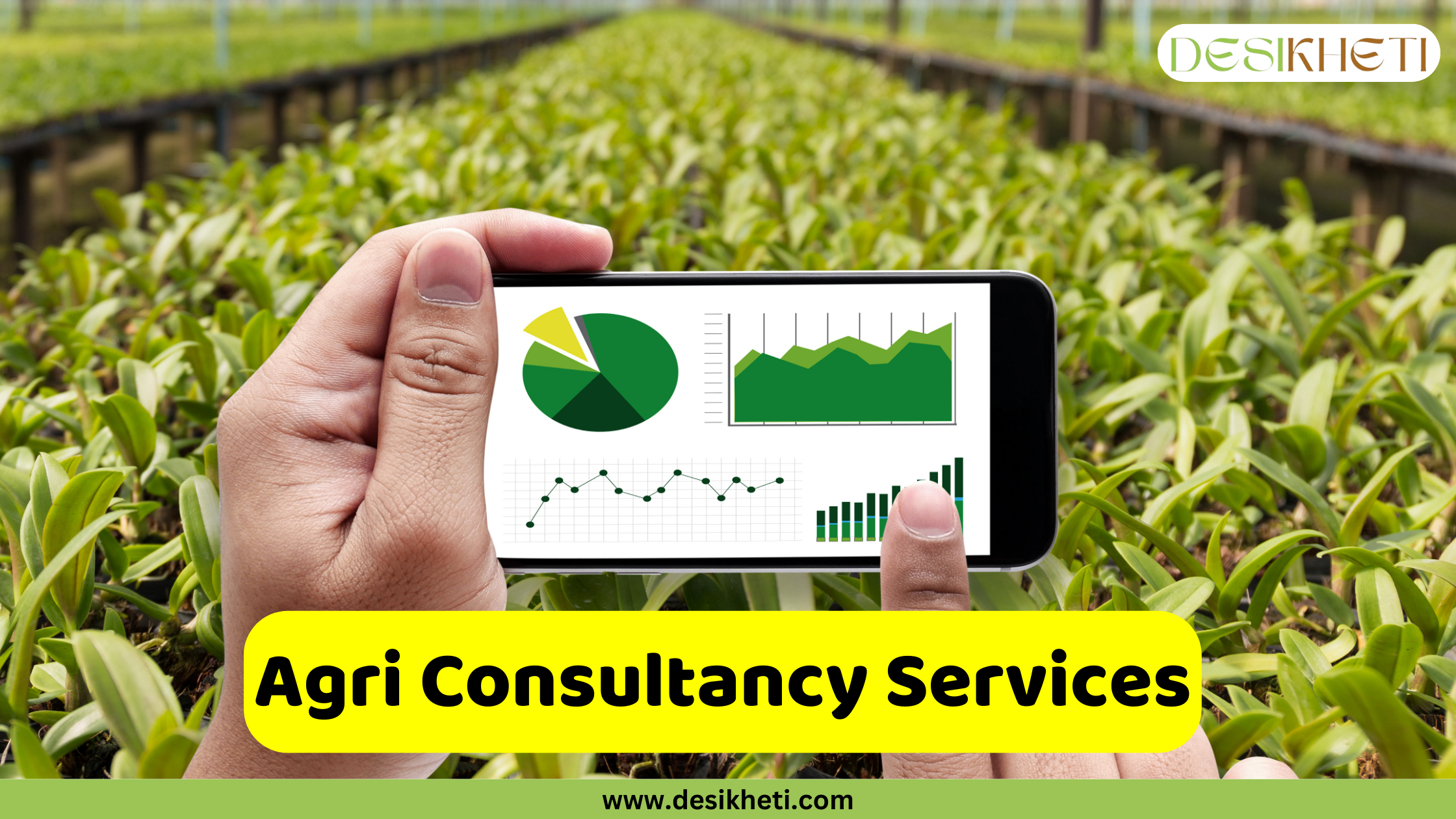 Agri Consultancy Services A pair of hands holds a smartphone displaying agricultural data in the form of charts and graphs, including a pie chart, line graphs, and bar graphs, all rendered in shades of green and white. The background is slightly blurred but shows rows of young, green plants growing in a protected environment, possibly a greenhouse or under netting. A bright yellow banner is superimposed at the bottom center, displaying the text "Agri Consultancy Services" in bold, dark lettering. Given the context of agricultural business ideas and the visual of data analysis in a farming setting, this image likely represents agricultural consultancy services. The "DESIKHETI" logo is visible in the upper right corner, and the website address "www.desikheti.com" is at the bottom.