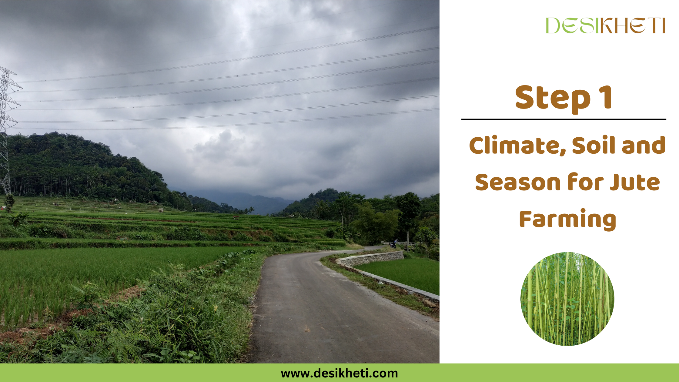 Step 1 Climate, Soil and Season for Jute Farming A rural landscape under a cloudy sky features terraced green fields, possibly rice paddies or jute cultivation areas, lining a winding paved road. Lush green vegetation covers the hills in the background, and power lines stretch across the sky. To the right, text reads "Step 1 Climate, Soil and Season for Jute Farming" along with a small circular inset image showing a field of tall, slender green jute plants. The "DESIKHETI" logo is in the top right corner, and the website address "www.desikheti.com" is at the bottom. Given the current location of Guntur, Andhra Pradesh, India, and the text referring to jute farming, this image likely illustrates the environmental conditions suitable for growing jute in that region. The terraced fields suggest a monsoon climate with sufficient rainfall.