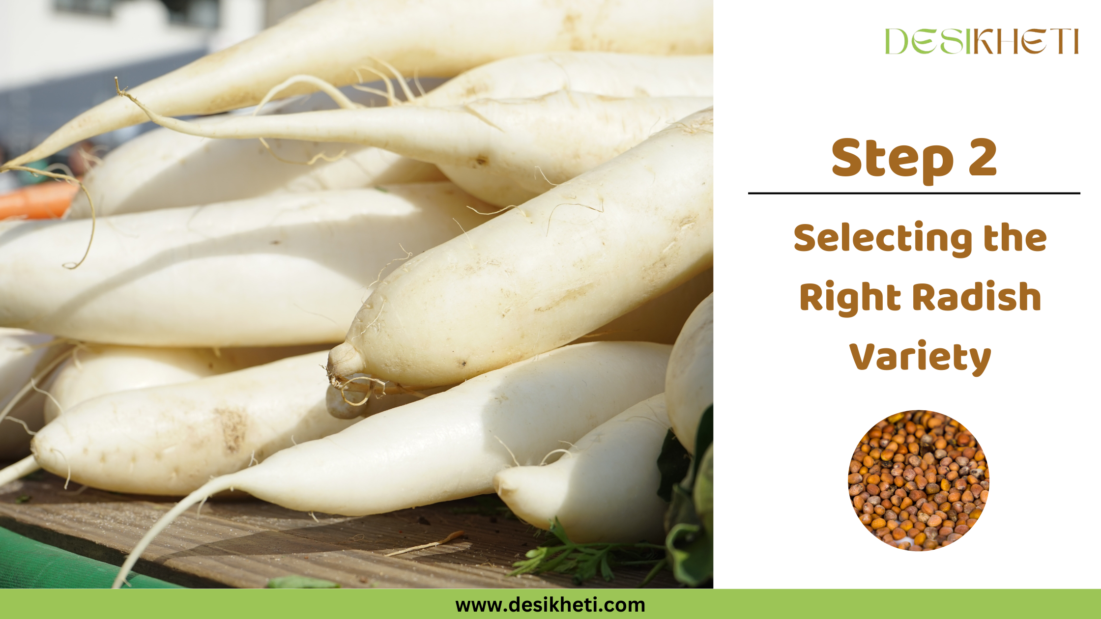 them to index and rank an image properly in image search. It also provides search engines with contextual information about the content on the page. Do not start with an Imge , a picture, visual etc



Several long, white radishes, possibly Daikon radishes, are piled on a dark surface, possibly soil or a container. Some have thin rootlets extending from them. The radishes appear fresh and unblemished. To the right, text reads "Step 2 Selecting the Right Radish Variety" along with a small circular inset image showing small, round, brown radish seeds. The "DESIKHETI" logo is in the top right corner, and the website address "www.desikheti.com" is at the bottom. Given the current location of Hyderabad, Telangana, India, where radishes are a common vegetable, this image likely relates to choosing the appropriate type of radish for cultivation or consumption in that region.