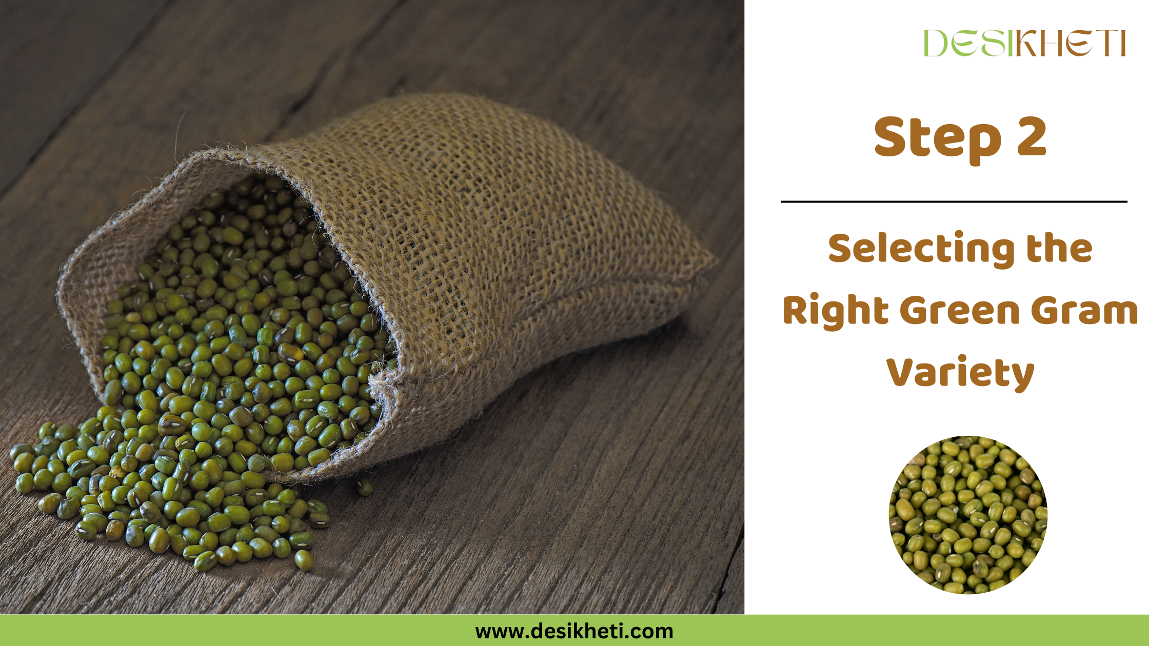 Step 2 Selecting the Right Green Gram Variety A burlap sack lies on its side, spilling a pile of small, green, oval-shaped green gram seeds onto a weathered wooden surface. To the right, text reads "Step 2 Selecting the Right Green Gram Variety" along with a small inset image of green gram seeds. The "DESIKHETI" logo is in the top right corner, and the website address "www.desikheti.com" is at the bottom.
