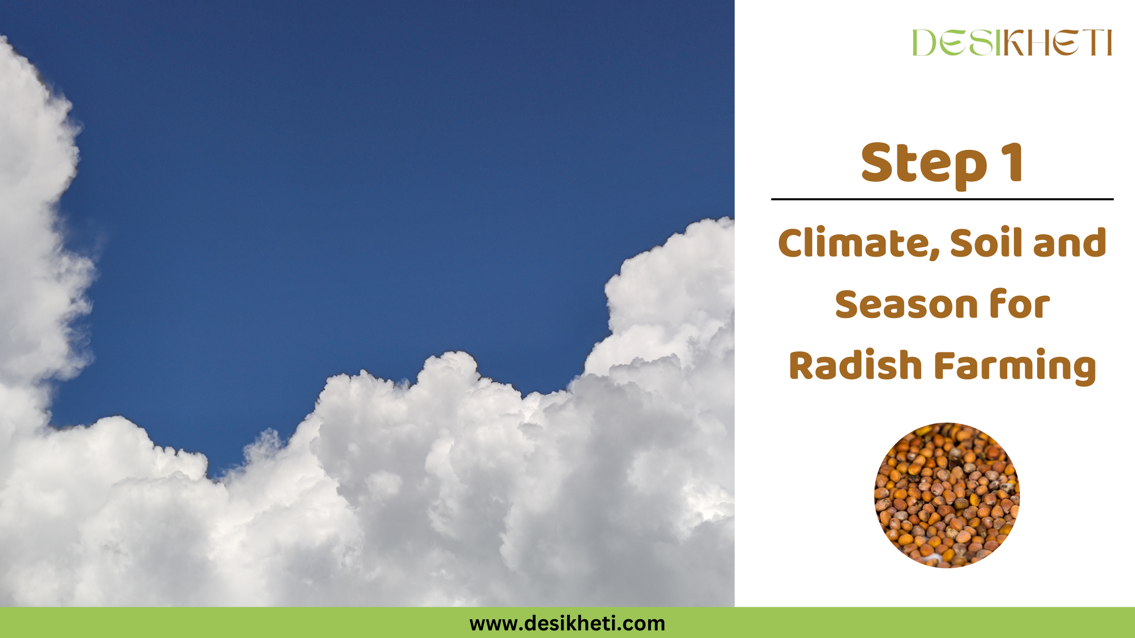 A vivid blue sky occupies the upper portion of the image, contrasted by large, billowy white clouds massing in the lower half. To the right, text reads "Step 1 Climate, Soil and Season for Radish Farming" along with a small circular inset image showing small, round, brown radish seeds. The "DESIKHETI" logo is in the top right corner, and the website address "www.desikheti.com" is at the bottom. Given the current location of Hyderabad, Telangana, India, where radishes are a common crop, this image likely illustrates the type of weather conditions suitable for radish farming in that region. The clouds appear to be cumulus, suggesting fair weather conditions.