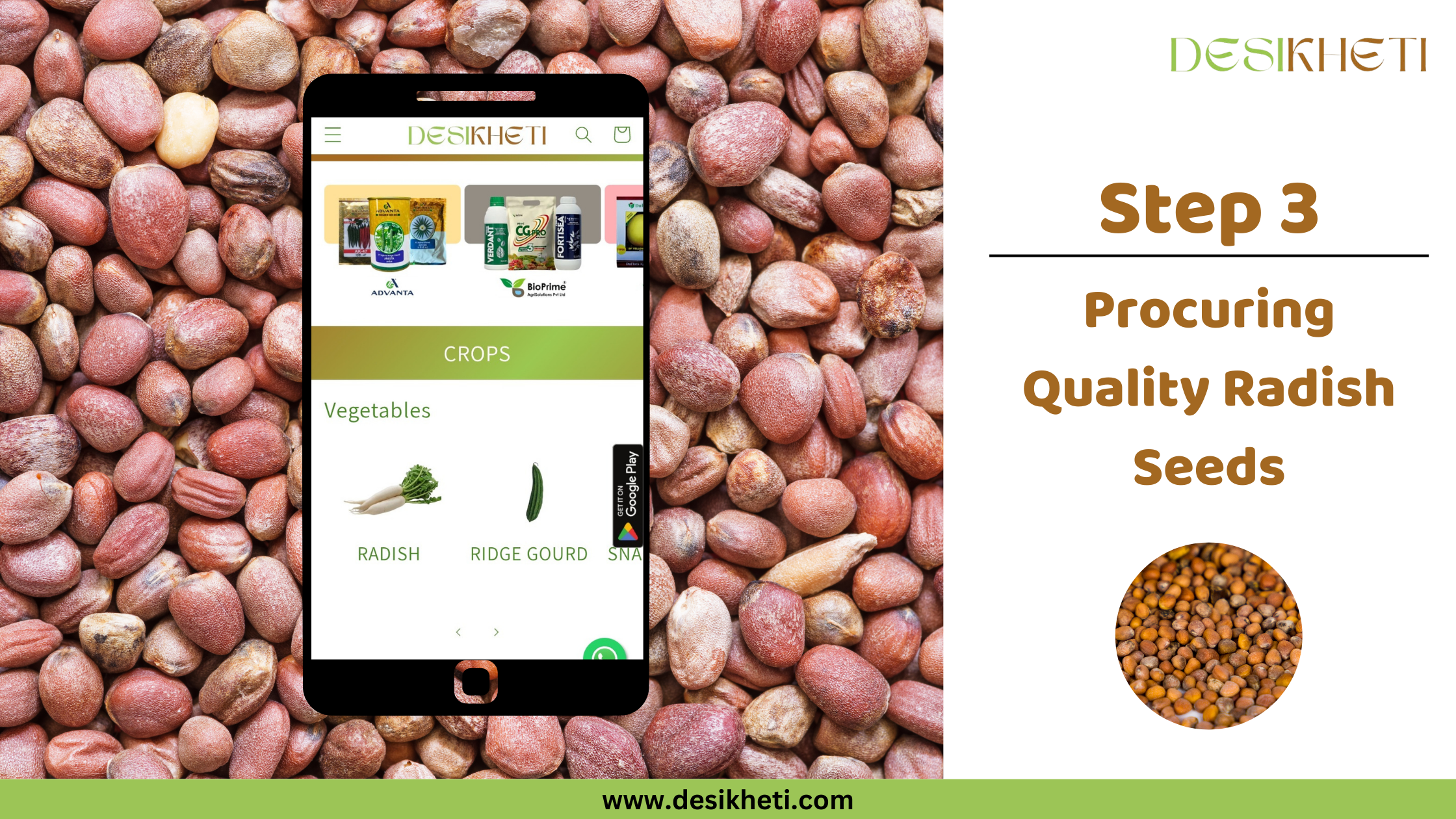 A smartphone displays a mobile app interface against a blurred background of small, oval, light brown radish seeds. The app, labeled "DESIKHETI," shows a menu with "CROPS" and under "Vegetables," icons for "RADISH," "RIDGE GOURD," and "SNAKE GOURD." The app also features icons for Google Play and WhatsApp. To the right of the phone is the text "Step 3 Procuring Quality Radish Seeds" and a smaller circular inset image showing small, round, brown radish seeds. The website address "www.desikheti.com" is at the bottom. The "DESIKHETI" logo is in the top right corner. Given the current location of Hyderabad, Telangana, India, and the app featuring "RADISH," this image likely pertains to sourcing quality radish seeds in that region.