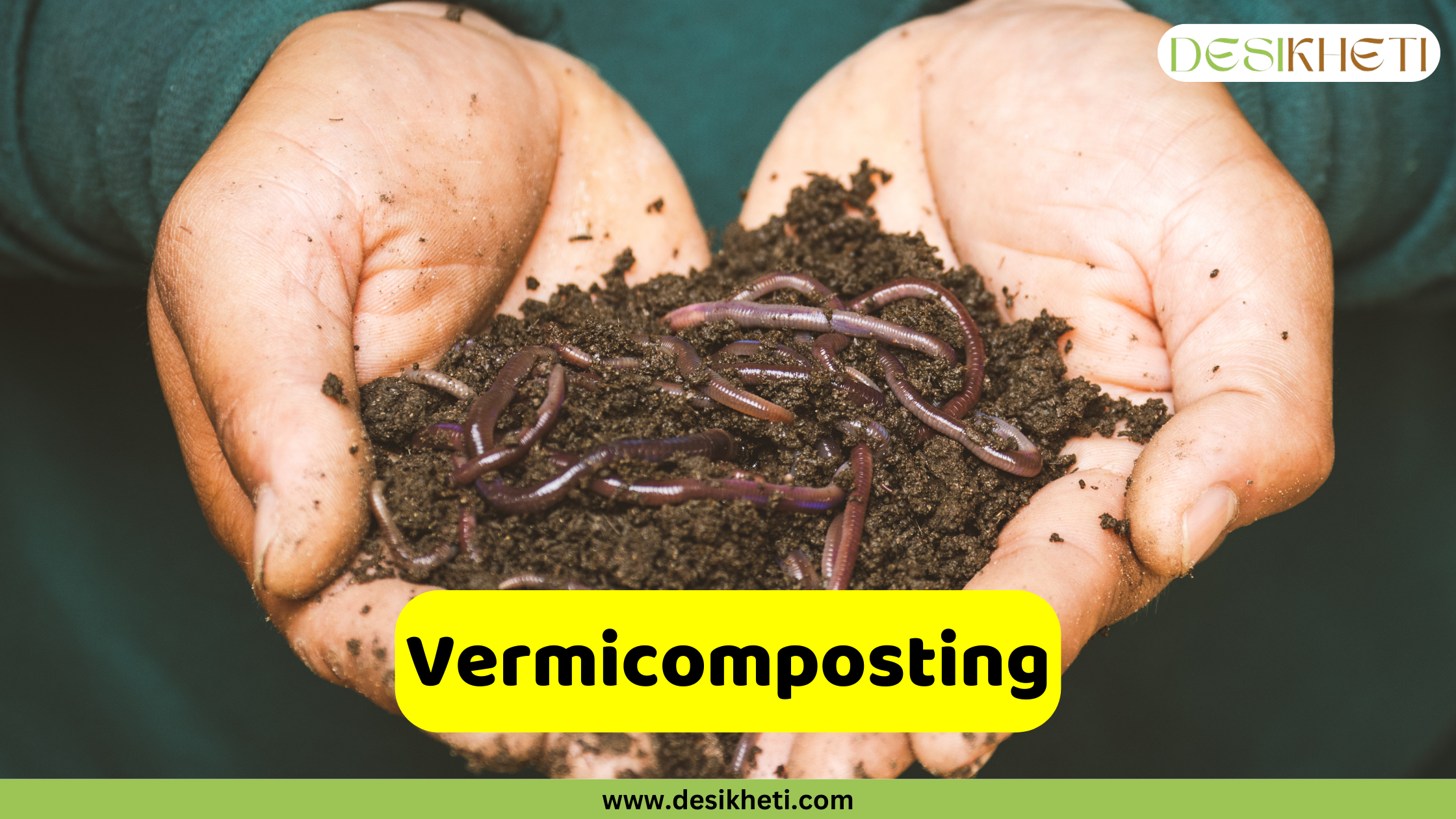 Vermicomposting Two hands, appearing to be those of an adult, are cupped together, holding a dark, rich mixture of soil and several earthworms. The earthworms are pinkish-brown and vary in size, moving amongst the soil. The background is slightly blurred, but suggests the person is wearing a dark green or teal garment. A bright yellow banner is superimposed at the bottom center, displaying the text "Vermicomposting" in bold, dark lettering. Given the context of agricultural business ideas and the visual evidence of earthworms and soil, this image likely represents vermicomposting, a method of using earthworms to compost organic waste. The "DESIKHETI" logo is visible in the upper right corner, and the website address "www.desikheti.com" is at the bottom.
