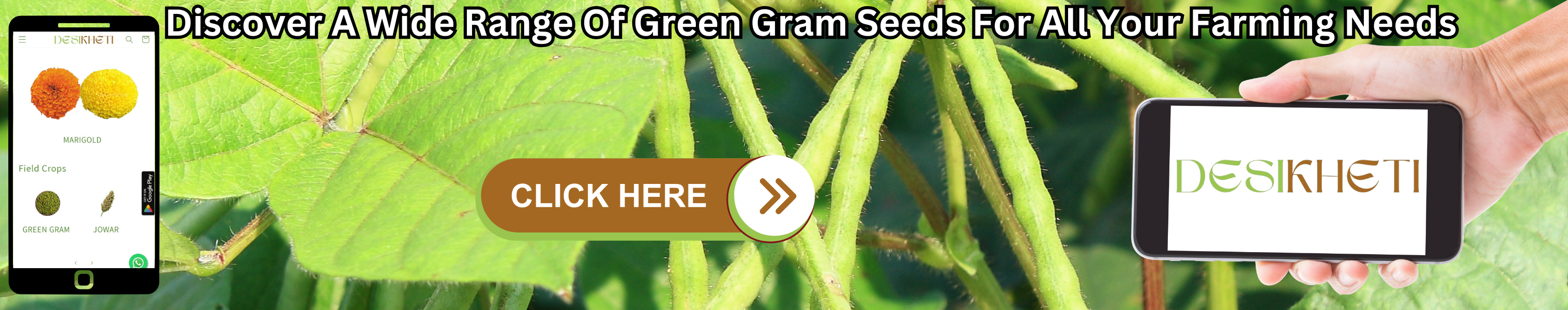 Discover A Wide Range Of Black Gram Seeds For All Your Farming Needs A banner advertisement with the text "Discover A Wide Range Of Black Gram Seeds For All Your Farming Needs" at the top. The background features a close-up shot of a lush green plant with broad leaves and long, slender stems. On the left, a smartphone displays a mobile app interface with various icons. A hand on the right holds a tablet-like device displaying the "DESIKHETI" logo. A "CLICK HERE" button with an arrow pointing right is superimposed on the plant image.