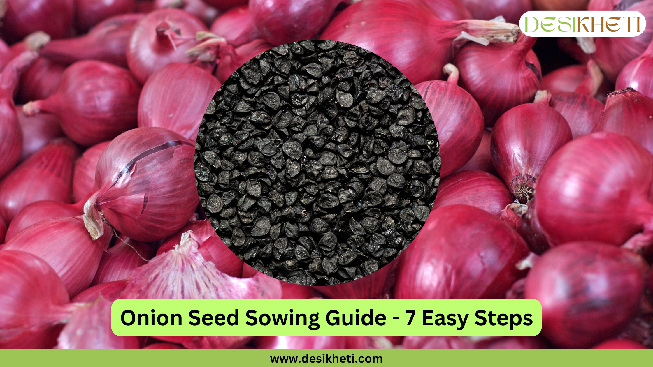 Onion Seed Sowing Guide – 7 Easy Steps banner by Desikheti featuring a close-up background of red onions, a central circular overlay highlighting black onion seeds, the Desikheti logo in the top right corner, and the website URL www.desikheti.com displayed at the bottom.