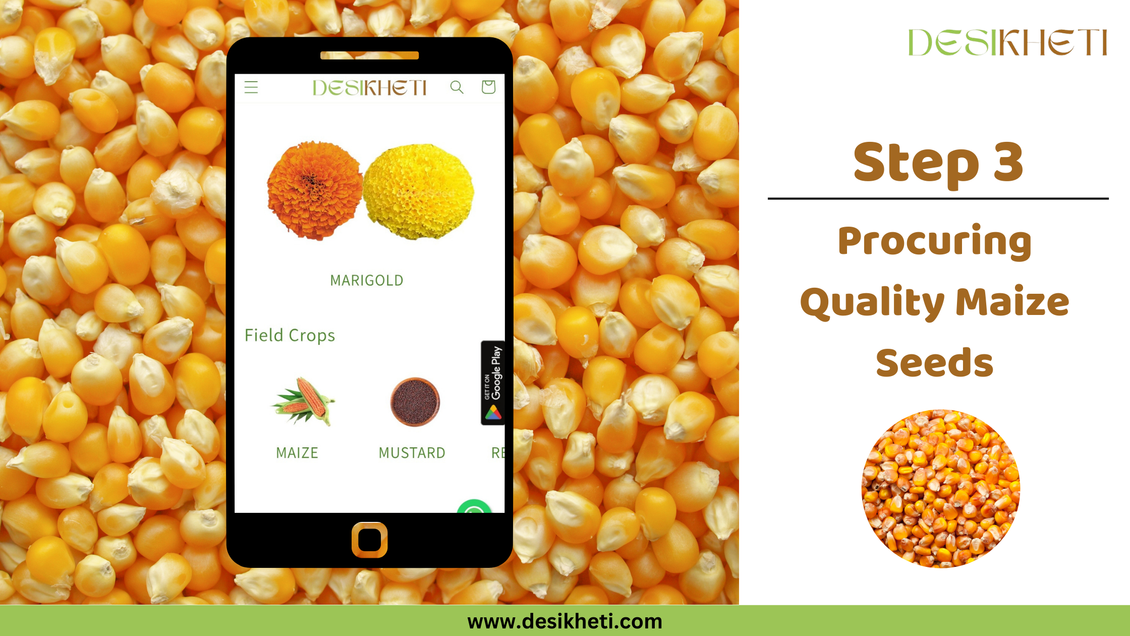 Step 3 Procuring Quality Maize Seeds A smartphone displays a mobile app interface against a blurred background of yellow and white corn kernels. The app, labeled "DESIKHETI," shows a menu with "MARIGOLD" and under "Field Crops," icons for "MAIZE," "MUSTARD," and "RICE." The app also features icons for Google Play and WhatsApp. To the right of the phone is the text "Step 3 Procuring Quality Maize Seeds" and a smaller circular inset image showing yellow and white corn kernels. The website address "www.desikheti.com" is at the bottom. The "DESIKHETI" logo is in the top right corner. Given the current location of Hyderabad, Telangana, India, and the app featuring "MAIZE," this image likely pertains to sourcing quality maize seeds in that region.