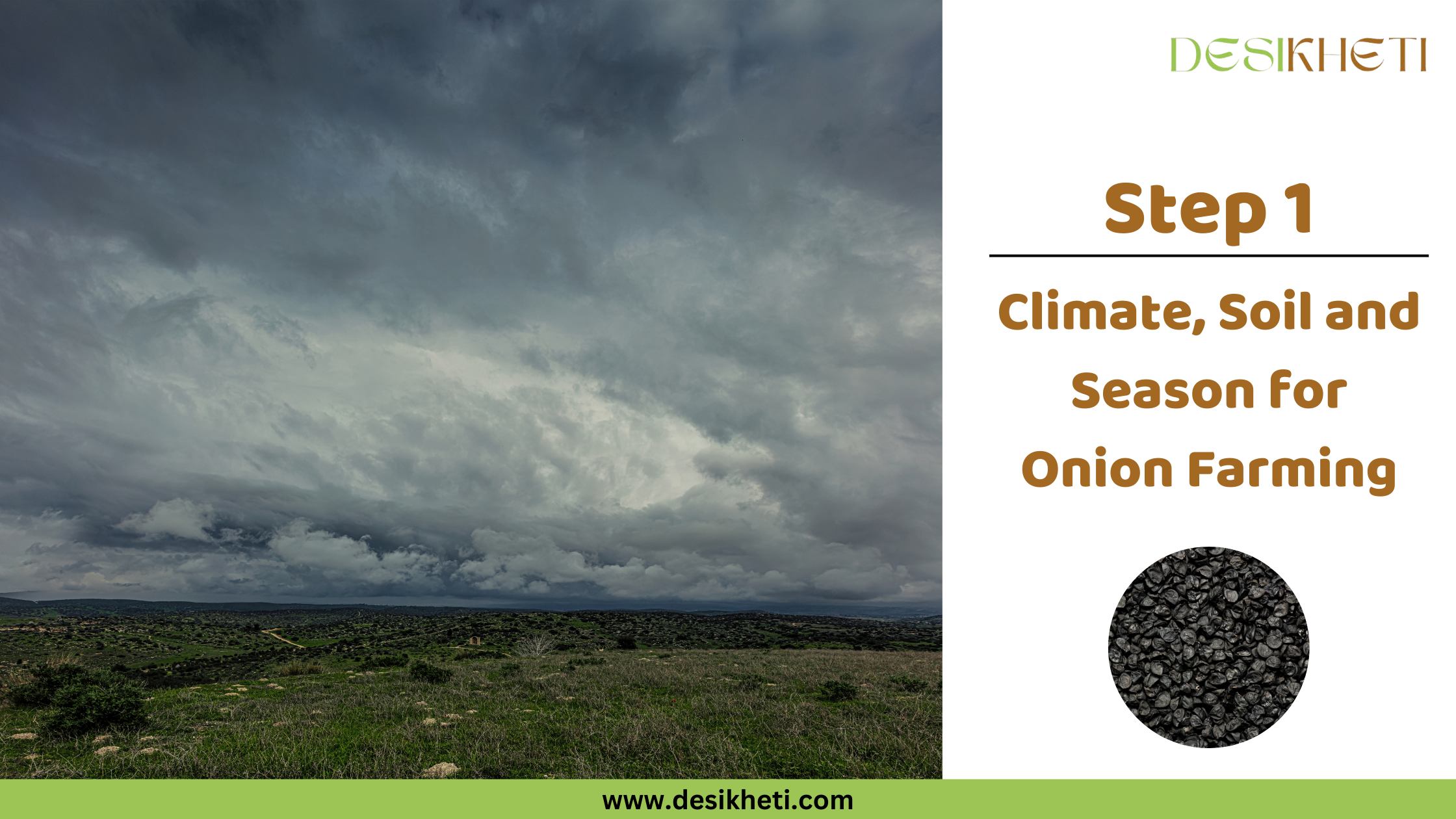 Step 1 – Climate, Soil and Season for Onion Farming Step 1 – Climate, Soil and Season for Onion Farming visual by Desikheti featuring a cloudy sky and green field landscape on the left side, and an informational panel on the right with the Desikheti logo, text “Step 1 Climate, Soil and Season for Onion Farming,” an image of black onion seeds, and website URL www.desikheti.com at the bottom.