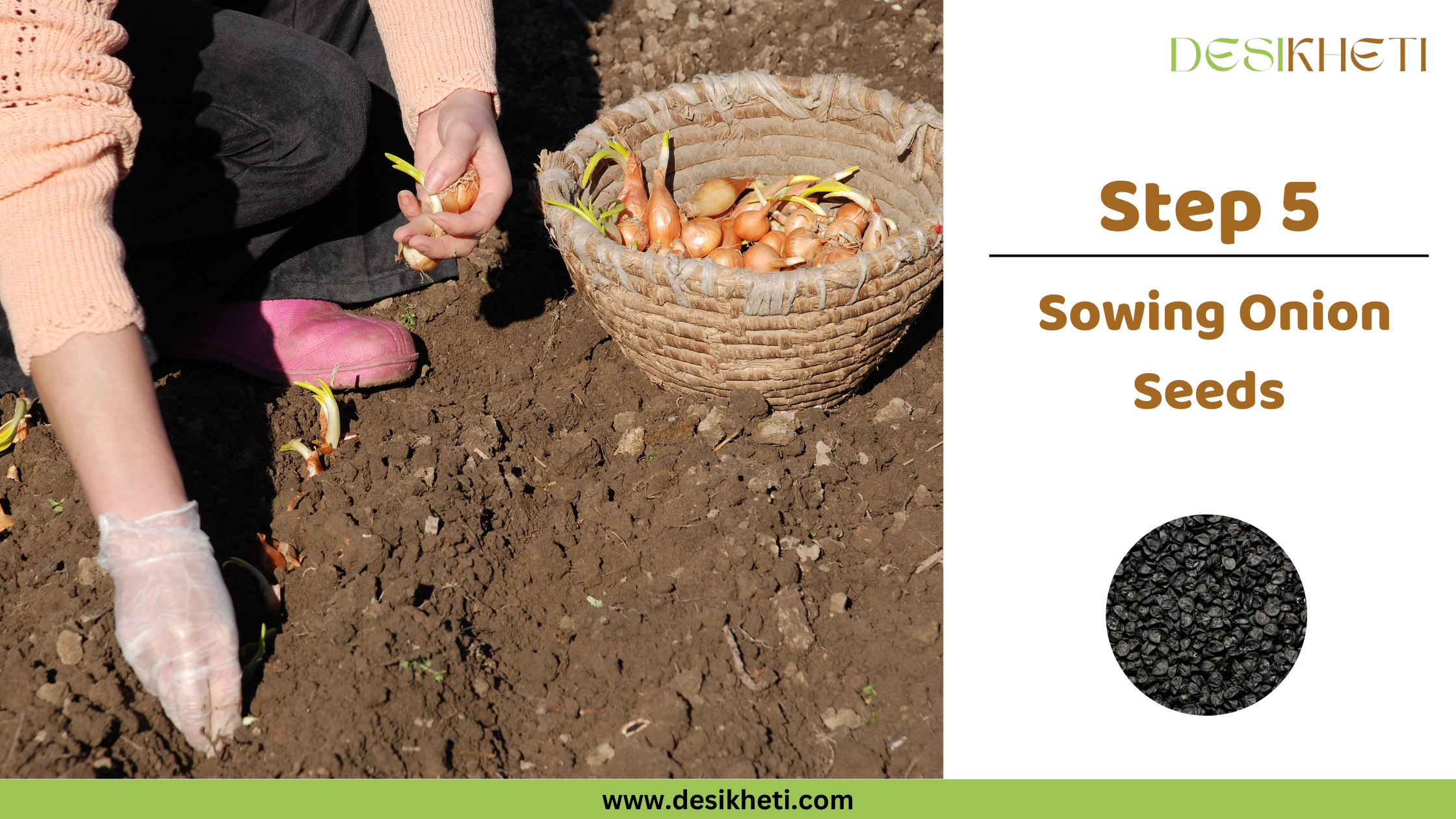 Step 5: Sowing Onion Seeds. Step 5: Sowing Onion Seeds. A person wearing gloves and pink boots is shown planting small onion bulbs from a woven basket into the soil. A pile of black onion seeds is displayed in a circular inset. The "DESIKHETI" logo is visible at the top right.