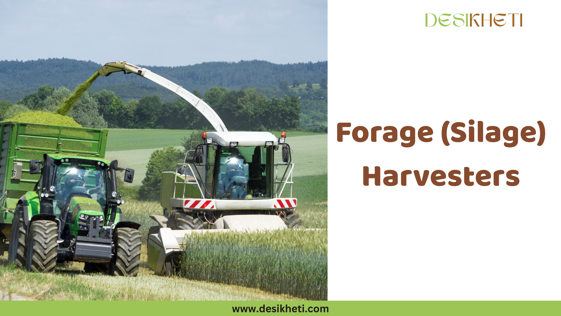Forage (Silage) Harvesters A large, white and green forage harvester is actively working in a field of tall green crops, likely maize or sorghum, given its use for silage. The harvester is cutting the crops and feeding the chopped material into a green trailer being pulled by a green tractor alongside it. Two individuals appear to be operating the machinery. The landscape in the background includes rolling green hills and a clear sky. To the right of the agricultural scene, the text "Forage (Silage) Harvesters" is displayed in a bold, brown font. The "DESIKHETI" logo is visible in the top right corner, and the website address "www.desikheti.com" is at the bottom. Given the agricultural context and the need for silage for livestock, this image is likely relevant to farming practices in Hyderabad, Telangana, India, where livestock rearing is common. The machinery depicted is used for efficient harvesting and processing of crops for silage production.