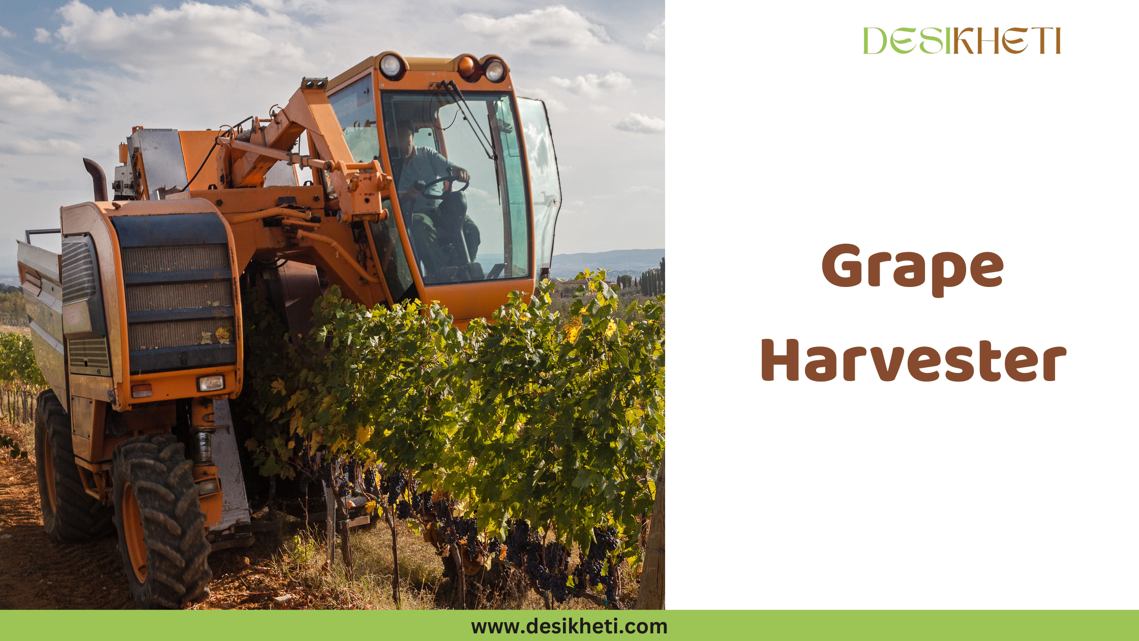 Grape Harvester A large, orange grape harvester is positioned over rows of grapevines laden with dark grapes. The harvester has a cabin where an operator is visible and machinery designed to straddle the vines and harvest the grapes mechanically. The vineyard is set against a backdrop of a partly cloudy sky and distant trees or hills. To the right of the agricultural scene, the text "Grape Harvester" is displayed in a bold, brown font. The "DESIKHETI" logo is visible in the top right corner, and the website address "www.desikheti.com" is at the bottom. Given the agricultural context and the cultivation of grapes in some regions of India, including potentially near Hyderabad, Telangana, this image likely showcases a mechanical grape harvester used for efficient harvesting in vineyards. It could possibly be a Pellenc grape harvester, based on the visual characteristics.