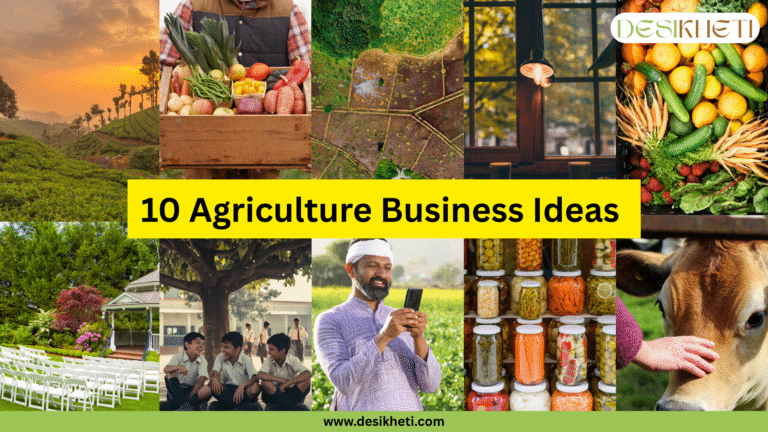 A grid of ten images illustrates various agriculture business ideas. The top row includes: a scenic view of terraced tea plantations at sunset; a person holding a wooden crate filled with freshly harvested vegetables; an aerial view of a farm with geometric field patterns; an indoor hydroponics setup with plants growing under artificial light; and a close-up of a vibrant assortment of freshly harvested vegetables. The bottom row shows: an outdoor event space with rows of white chairs set up on a lawn; three young individuals sitting under a large tree in what appears to be a rural schoolyard; a man, possibly a farmer given his attire and turban, looking at a smartphone in a field; shelves stocked with numerous jars of preserved vegetables; and a close-up of a brown cow being petted by a person's hand. A bright yellow horizontal banner is superimposed across the center of the grid, displaying the text "10 Agriculture Business Ideas" in bold, dark text. The "DESIKHETI" logo is visible in the top right corner. Given the likely target audience of farmers and agricultural entrepreneurs in Hyderabad, Telangana, India, this image presents a diverse range of potential business ventures within the agricultural sector.