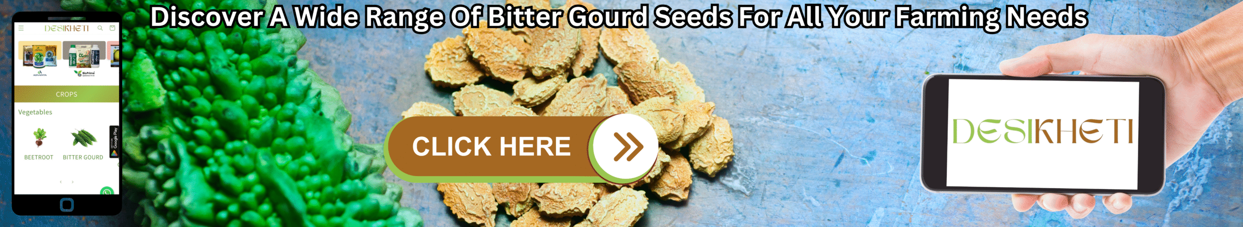Discover A Wide Range Of Bitter Gourd Seeds For All Your Farming Needs A banner advertising a wide range of bitter gourd seeds for all farming needs features a blurred background transitioning from vibrant green, warty bitter gourds on the left to a pile of dry, light brown bitter gourd seeds on a textured blue surface in the center. On the left, a smartphone displays the "DESIKHETI" app interface, showing a menu with "CROPS" and "Vegetables," including an icon that might represent bitter gourd. In the center, a brown button with a light green outline reads "CLICK HERE" followed by a white arrow pointing right. On the right, a light-skinned hand holds another smartphone displaying the "DESIKHETI" logo in a stylized font. Above the gourds and seeds, the text "Discover A Wide Range Of Bitter Gourd Seeds For All Your Farming Needs" is written in a bold, dark font. Given the agricultural context and the cultivation of bitter gourds in India, including Telangana, this banner likely promotes the availability of various types of bitter gourd seeds for different farming requirements, possibly through the "DESIKHETI" platform.A banner advertising a wide range of bitter gourd seeds for all farming needs features a blurred background transitioning from vibrant green, warty bitter gourds on the left to a pile of dry, light brown bitter gourd seeds on a textured blue surface in the center. On the left, a smartphone displays the "DESIKHETI" app interface, showing a menu with "CROPS" and "Vegetables," including an icon that might represent bitter gourd. In the center, a brown button with a light green outline reads "CLICK HERE" followed by a white arrow pointing right. On the right, a light-skinned hand holds another smartphone displaying the "DESIKHETI" logo in a stylized font. Above the gourds and seeds, the text "Discover A Wide Range Of Bitter Gourd Seeds For All Your Farming Needs" is written in a bold, dark font. Given the agricultural context and the cultivation of bitter gourds in India, including Telangana, this banner likely promotes the availability of various types of bitter gourd seeds for different farming requirements, possibly through the "DESIKHETI" platform.