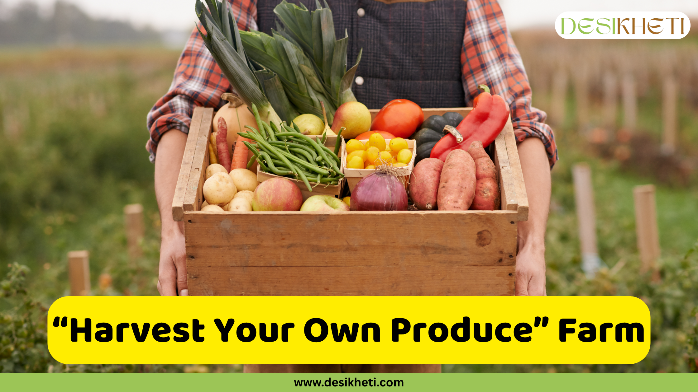 Harvest Your Own Produce" Farm A person wearing a plaid shirt and a dark apron holds a wooden crate filled with a variety of freshly harvested vegetables. The assortment includes potatoes, carrots, green beans, leeks, apples, tomatoes, a red onion, sweet potatoes, a butternut squash, and red bell peppers, neatly arranged in the crate. The background shows a blurred view of a field with rows of plants, suggesting a farm setting. A bright yellow rounded rectangle is superimposed at the bottom, displaying the text ""Harvest Your Own Produce" Farm" in bold, dark text. The "DESIKHETI" logo is visible in the top right corner, and the website address "www.desikheti.com" is at the bottom. Given the context of fresh produce and a farm setting, this image likely promotes a farm that offers a "harvest your own" experience, allowing visitors to pick their own vegetables.