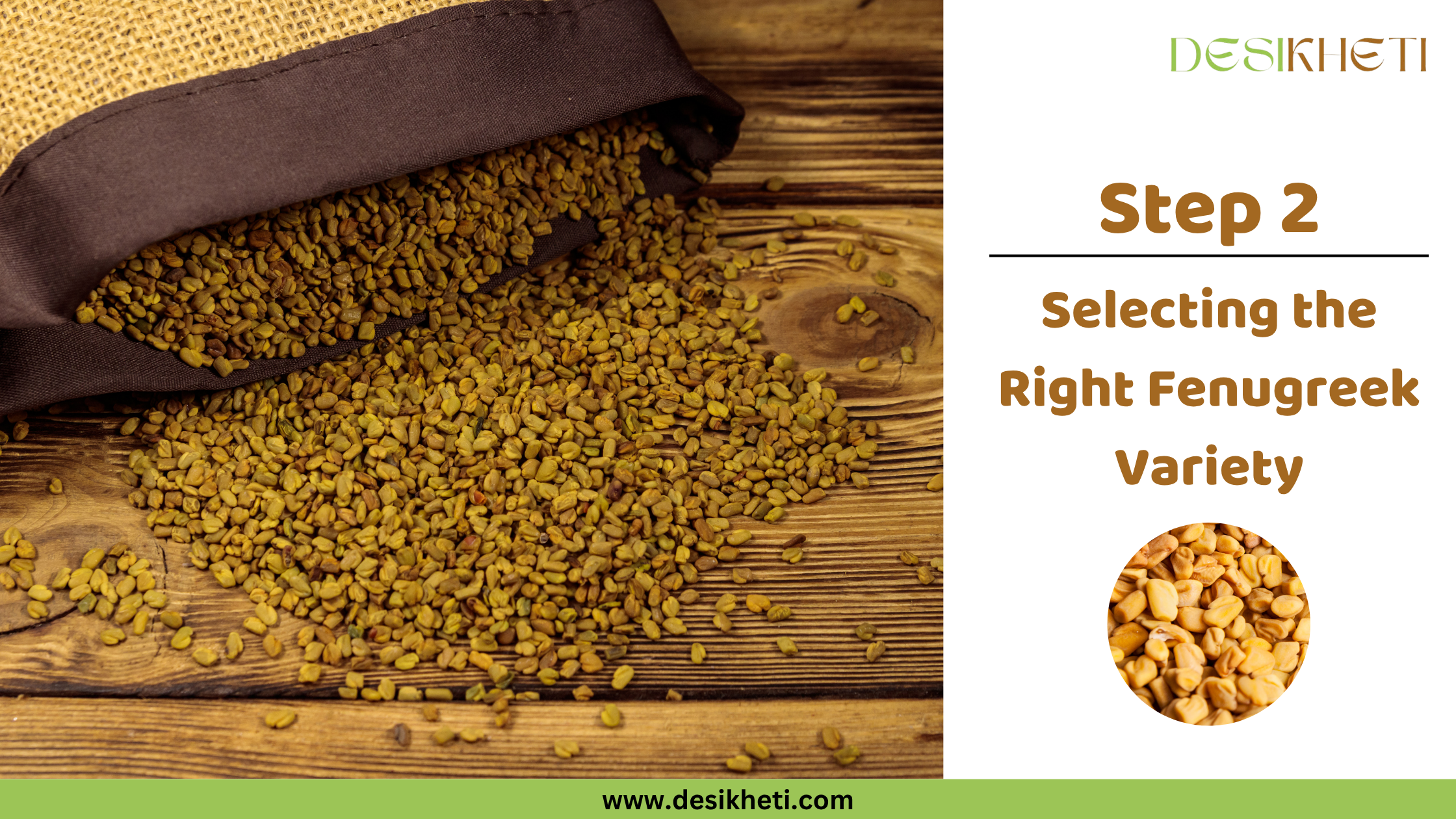 Step 2 Selecting the Right Fenugreek Variety Small, oblong, light brown fenugreek seeds are spilling out of a dark brown sack onto a rustic wooden surface. Some seeds are scattered around the pile. To the right, text reads "Step 2 Selecting the Right Fenugreek Variety" along with a small circular inset image showing a wooden spoon filled with similar fenugreek seeds. The "DESIKHETI" logo is in the top right corner, and the website address "www.desikheti.com" is at the bottom. Given the current location of Hyderabad, Telangana, India, where fenugreek is a common crop and spice, this image likely relates to choosing the appropriate variety of fenugreek for cultivation or culinary use in that region.
