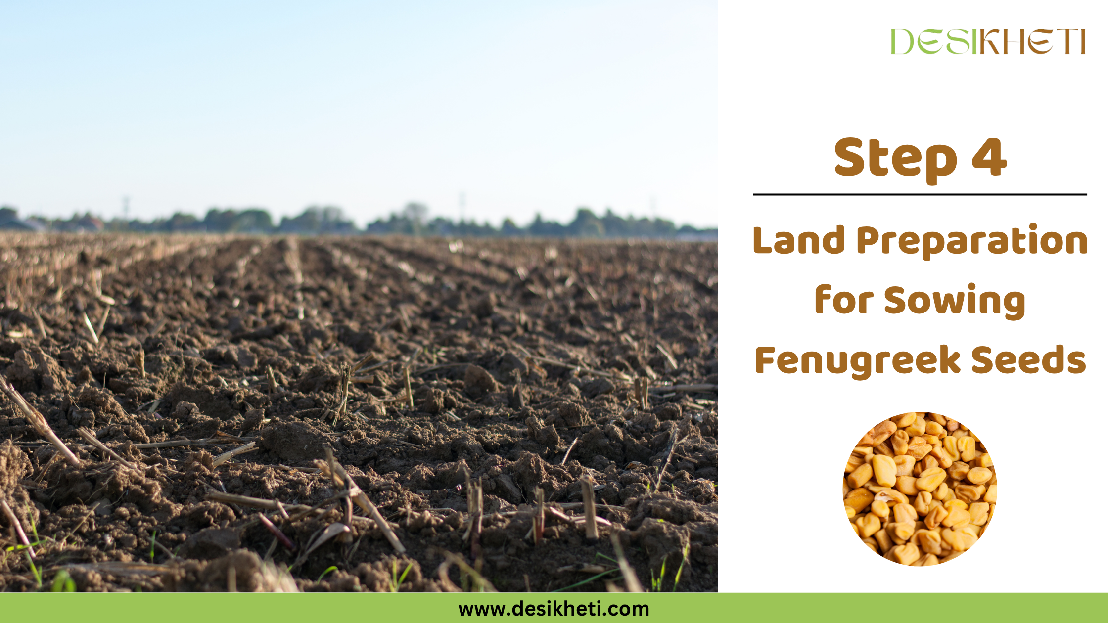 Step 4 Land Preparation for Sowing Fenugreek Seeds A wide view of a large, plowed field with dark brown soil and visible furrows stretches towards the horizon under a clear, light blue sky. Some remnants of previous crops, appearing as dry stalks, are scattered on the surface. A line of trees is visible in the distant background. To the right, text reads "Step 4 Land Preparation for Sowing Fenugreek Seeds" along with a small circular inset image showing a wooden spoon filled with small, oblong, light brown fenugreek seeds. The "DESIKHETI" logo is in the top right corner, and the website address "www.desikheti.com" is at the bottom. Given the current location of Hyderabad, Telangana, India, this image likely depicts the preparation of land for planting fenugreek in that region.
