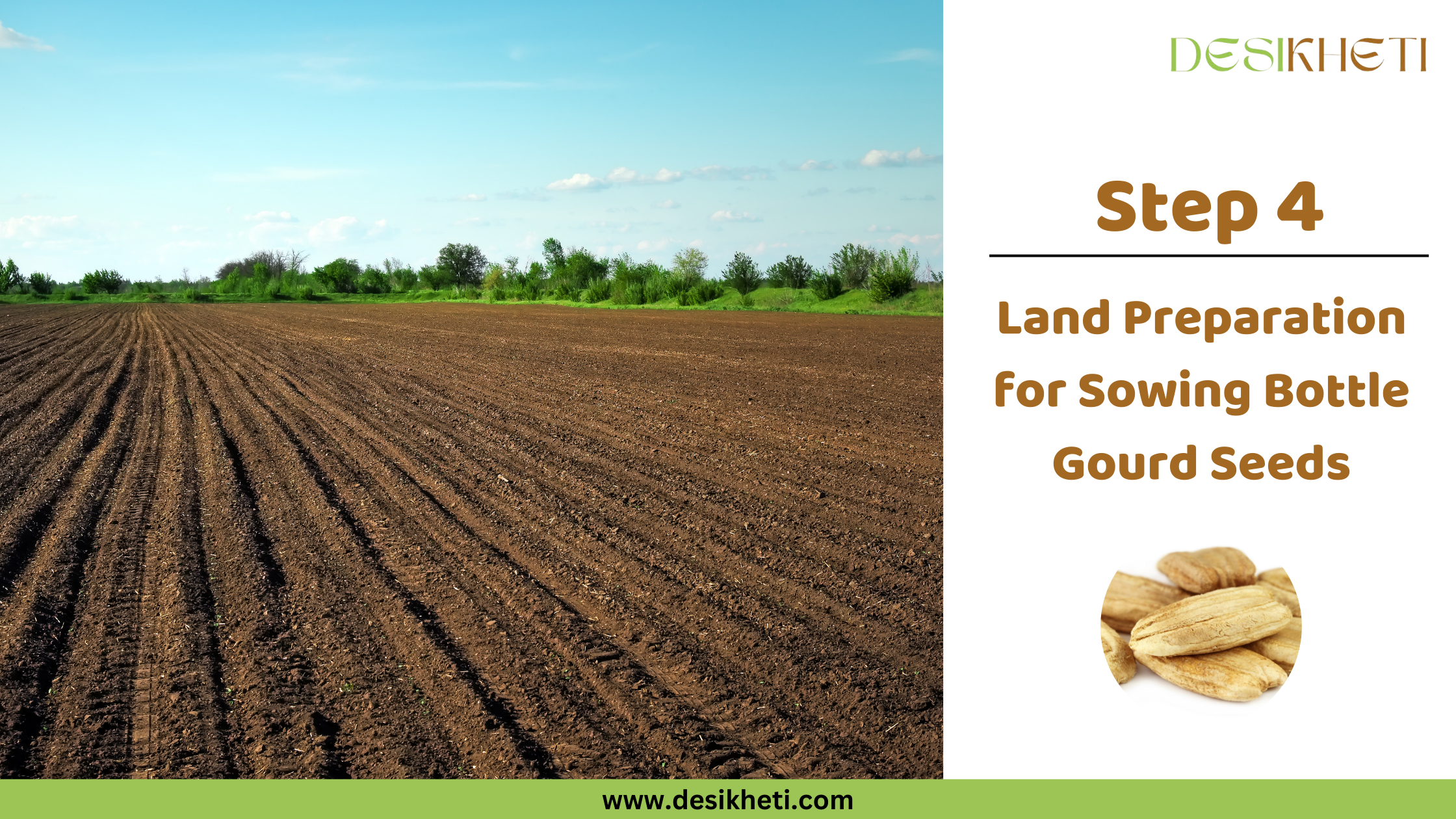 Step 4 Land Preparation For Sowing Bottle Gourd Seeds A vast, tilled field with rows of dark brown soil stretches across the frame under a clear, bright blue sky with a few wispy white clouds. Green trees and vegetation line the horizon. To the right, text reads "Step 4 Land Preparation For Sowing Bottle Gourd Seeds" along with a small circular inset image showing several dry, light brown bottle gourd seeds. The "DESIKHETI" logo is in the top right corner, and the website address "www.desikheti.com" is at the bottom. Given the agricultural context and the cultivation of bottle gourds in India, including Telangana, this image likely illustrates the stage of preparing a large field for sowing bottle gourd seeds in that region.