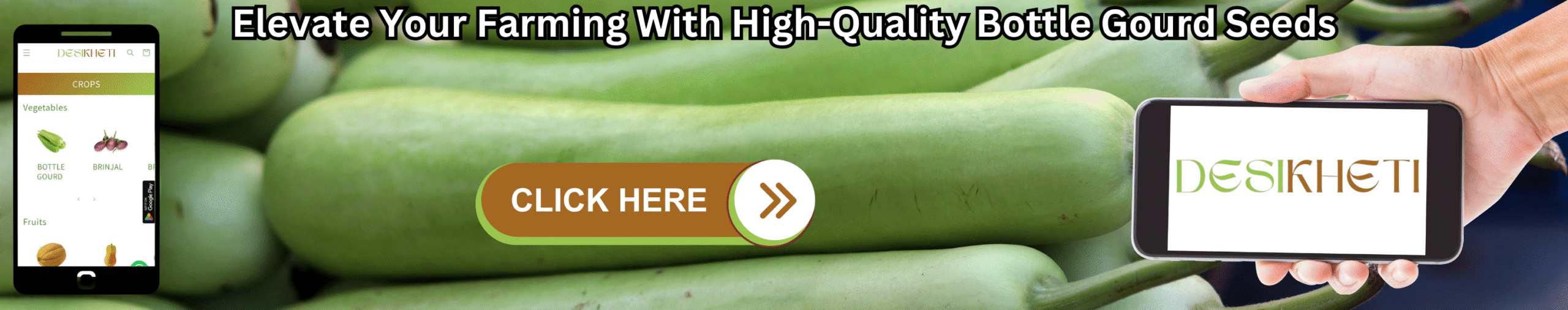 Elevate Your Farming With High-Quality Bottle Gourd Seeds A banner promoting high-quality bottle gourd seeds features a blurred background of several long, light green bottle gourds. On the left, a smartphone displays the "DESIKHETI" app interface, showing a menu with "CROPS" and "Vegetables," including an icon for "BOTTLE GOURD." In the center, a brown button with a white outline reads "CLICK HERE" followed by a white arrow pointing right. On the right, a hand holds another smartphone displaying the "DESIKHETI" logo in a stylized font. Above the gourds, the text "Elevate Your Farming With High-Quality Bottle Gourd Seeds" is written in a bold, dark font. Given the agricultural context and the cultivation of bottle gourds in India, including Telangana, this banner likely advertises a source for purchasing good quality bottle gourd seeds, possibly through the "DESIKHETI" platform.