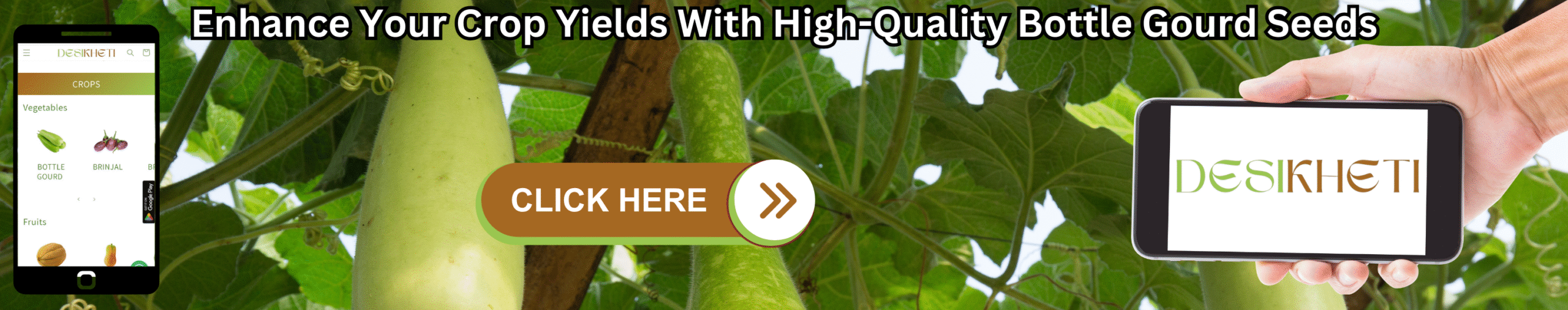 Enhance Your Crop Yields With High-Quality Bottle Gourd Seeds A banner encouraging enhanced crop yields with high-quality bottle gourd seeds features a blurred background of a bottle gourd vine with several long, light green bottle gourds hanging from it amidst green leaves. On the left, a smartphone displays the "DESIKHETI" app interface, showing a menu with "CROPS" and "Vegetables," including an icon for "BOTTLE GOURD." In the center, a brown button with a light green outline reads "CLICK HERE" followed by a white arrow pointing right. On the right, a light-skinned hand holds another smartphone displaying the "DESIKHETI" logo in a stylized font. Above the vine, the text "Enhance Your Crop Yields With High-Quality Bottle Gourd Seeds" is written in a bold, dark font. Given the agricultural context and the cultivation of bottle gourds in India, including Telangana, this banner likely advertises premium bottle gourd seeds intended to improve farming productivity, possibly available through the "DESIKHETI" platform.
