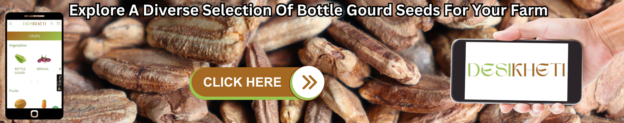 Explore A Diverse Selection Of Bottle Gourd Seeds For Your Farm A banner promoting a diverse selection of bottle gourd seeds for farming features a blurred background of numerous dry, light brown bottle gourd seeds. On the left, a smartphone displays the "DESIKHETI" app interface, showing a menu with "CROPS" and "Vegetables," including an icon for "BOTTLE GOURD." In the center, a brown button with a light green outline reads "CLICK HERE" followed by a white arrow pointing right. On the right, a light-skinned hand holds another smartphone displaying the "DESIKHETI" logo in a stylized font. Above the seeds, the text "Explore A Diverse Selection Of Bottle Gourd Seeds For Your Farm" is written in a bold, dark font. Given the agricultural context and the cultivation of bottle gourds in India, including Telangana, this banner likely advertises a variety of bottle gourd seeds available for purchase, possibly through the "DESIKHETI" platform.