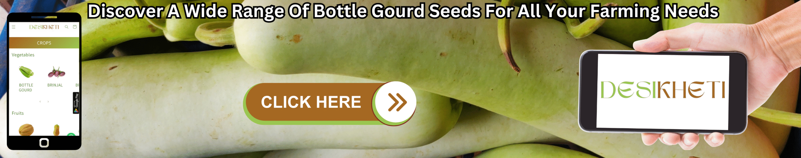 Discover A Wide Range Of Bottle Gourd Seeds For All Your Farming Needs A banner advertising a wide range of bottle gourd seeds for all farming needs features a blurred background of several long, light green bottle gourds. On the left, a smartphone displays the "DESIKHETI" app interface, showing a menu with "CROPS" and "Vegetables," including an icon for "BOTTLE GOURD." In the center, a brown button with a light green outline reads "CLICK HERE" followed by a white arrow pointing right. On the right, a light-skinned hand holds another smartphone displaying the "DESIKHETI" logo in a stylized font. Above the gourds, the text "Discover A Wide Range Of Bottle Gourd Seeds For All Your Farming Needs" is written in a bold, dark font. Given the agricultural context and the cultivation of bottle gourds in India, including Telangana, this banner likely promotes the availability of various types of bottle gourd seeds for different farming requirements, possibly through the "DESIKHETI" platform.