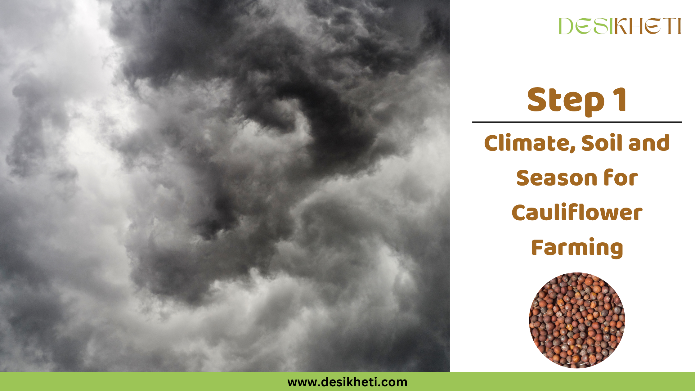 Step 1 Climate, Soil and Season for Cauliflower Farming
A poster titled "Step 1 Climate, Soil and Season for Cauliflower Farming" with "www.desikheti.com" at the bottom. The left side features a blue sky with large, white cumulus clouds. The right side has a small circular image of cauliflower seeds and a "DESIKHETI" logo at the top.