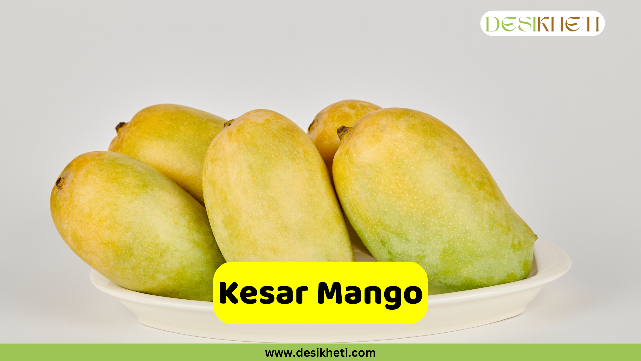Kesar Mango Five Kesar mangoes are arranged on a white, shallow dish against a light gray background. The mangoes have a distinct shape, being oblong with a slightly curved end. Their skin exhibits a blend of yellow and green hues, suggesting they are ripe or nearing ripeness. A bright yellow rounded rectangle is superimposed at the bottom, displaying the text "Five Kesar mangoes are arranged on a white, shallow dish against a light gray background. The mangoes have a distinct shape, being oblong with a slightly curved end. Their skin exhibits a blend of yellow and green hues, suggesting they are ripe or nearing ripeness. A bright yellow rounded rectangle is superimposed at the bottom, displaying the text "Kesar Mango" in bold, dark text. The "DESIKHETI" logo is visible in the top right corner, and the website address "www.desikheti.com" is at the bottom. Given the current location of Hyderabad, Telangana, India, and the popularity of mangoes in the region, this image likely highlights the Kesar variety, which is known for its sweet taste and saffron-like aroma." in bold, dark text. The "DESIKHETI" logo is visible in the top right corner, and the website address "www.desikheti.com" is at the bottom. Given the current location of Hyderabad, Telangana, India, and the popularity of mangoes in the region, this image likely highlights the Kesar variety, which is known for its sweet taste and saffron-like aroma.