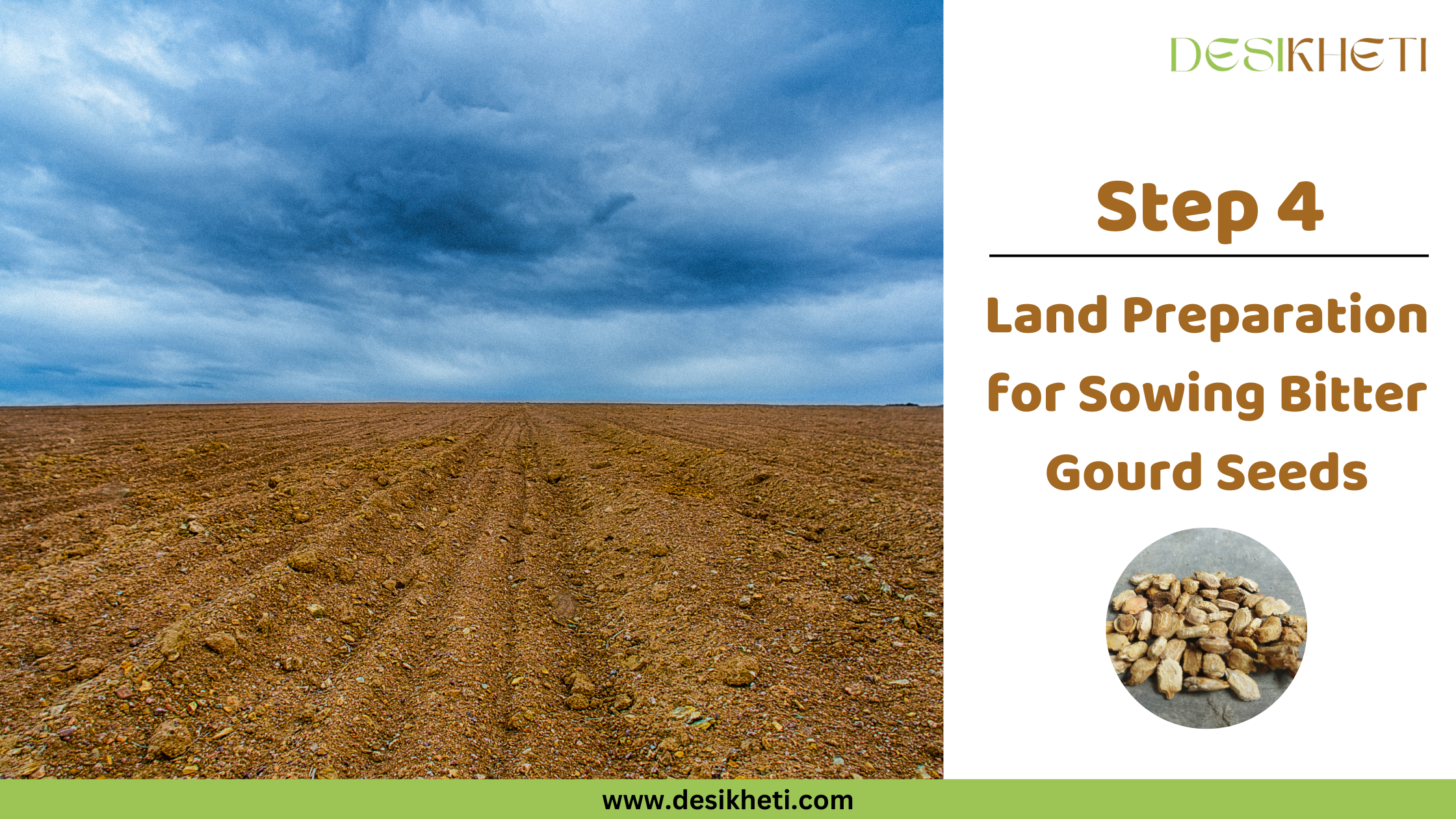 Step 4 - Land Preparation for Sowing Bitter Gourd Seeds A ploughed agricultural field under a dramatic cloudy sky on the left side represents land preparation. On the right, the Desikheti logo appears at the top, followed by the bold brown text 'Step 4' and the title 'Land Preparation for Sowing Bitter Gourd Seeds.' Below the text is a circular image of bitter gourd seeds. The website URL www.desikheti.com is displayed at the bottom against a green strip.