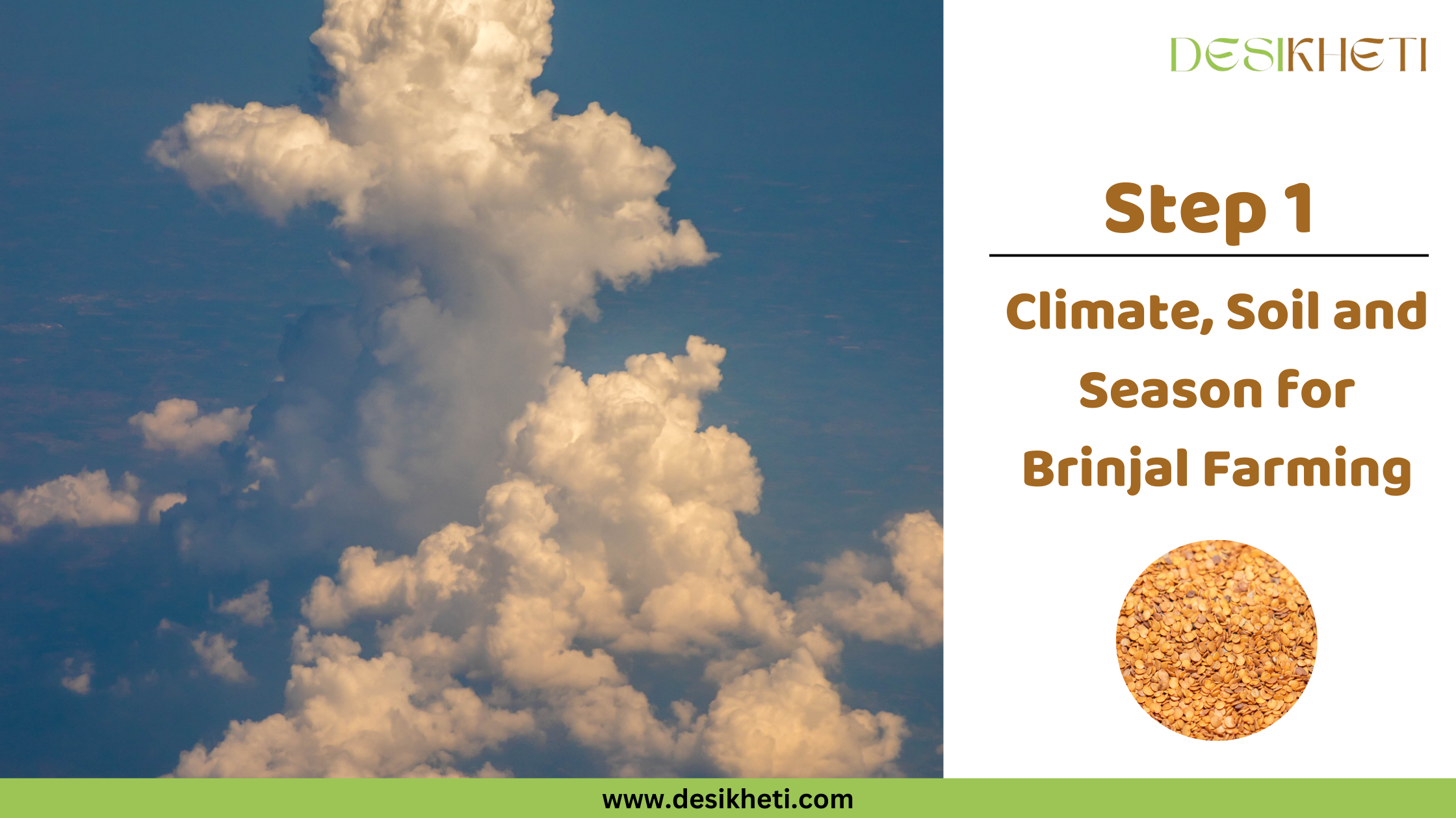 Step 1 Climate, Soil and Season for Brinjal Farming Step 1 Climate, Soil and Season for Brinjal Farming" with "www.desikheti.com" at the bottom. The left side features a blue sky with large, white cumulus clouds. The right side has a small circular image of brinjal seeds and a "DESIKHETI" logo at the top.