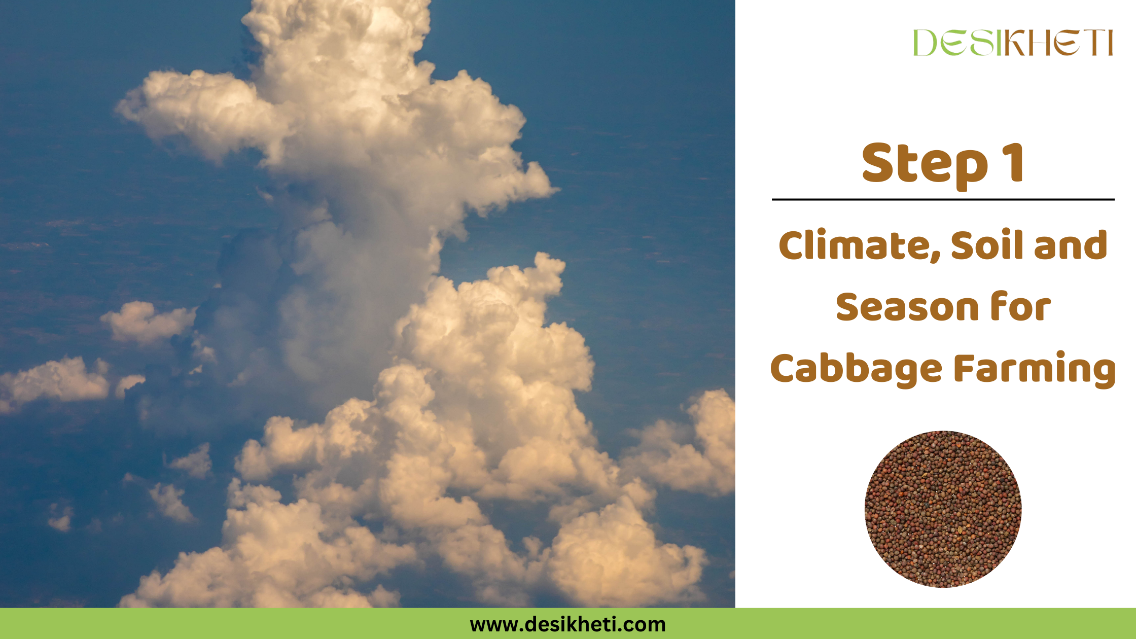 Step 1 Climate, Soil and Season for Cabbage Farming A poster titled "Step 1 Climate, Soil and Season for Cabbage Farming" with "www.desikheti.com" at the bottom. The left side features a blue sky with large, white cumulus clouds. The right side has a small circular image of cabbage seeds and a "DESIKHETI" logo at the top.