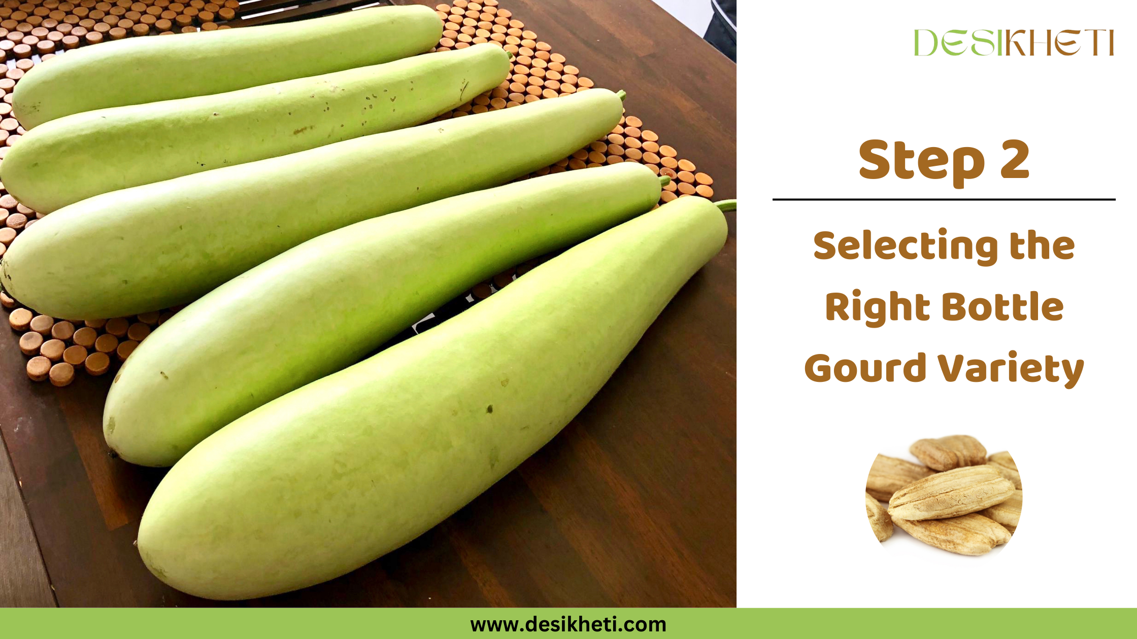 Step 2 Selecting the Right Bottle Gourd Variety Four long, pale green bottle gourds are arranged on a brown surface with a textured mat underneath. To the right, text reads "Step 2 Selecting the Right Bottle Gourd Variety" along with a small circular inset image showing several dry, light brown bottle gourd seeds. The "DESIKHETI" logo is in the top right corner, and the website address "www.desikheti.com" is at the bottom. Given the agricultural context and the cultivation of bottle gourds in India, including Telangana, this image likely illustrates the selection of appropriate bottle gourd varieties for planting in that region.