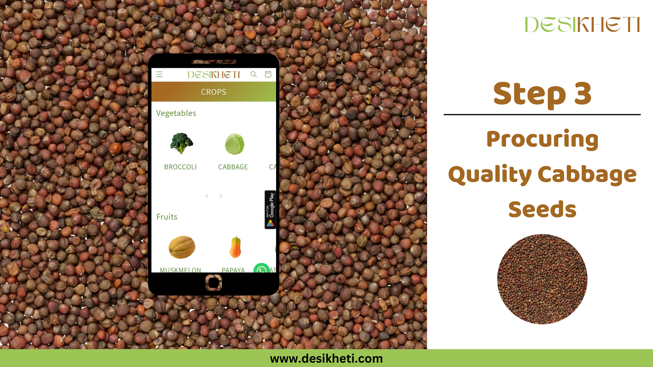 Step 3 Procuring Quality Cabbage Seeds A poster titled "Step 3 Procuring Quality Cabbage Seeds" with "www.desikheti.com" at the bottom. The poster features a smartphone displaying a farming app with icons for various vegetables and fruits, placed against a background of numerous small brown cabbage seeds. The "DESIKHETI" logo appears in the top right corner.