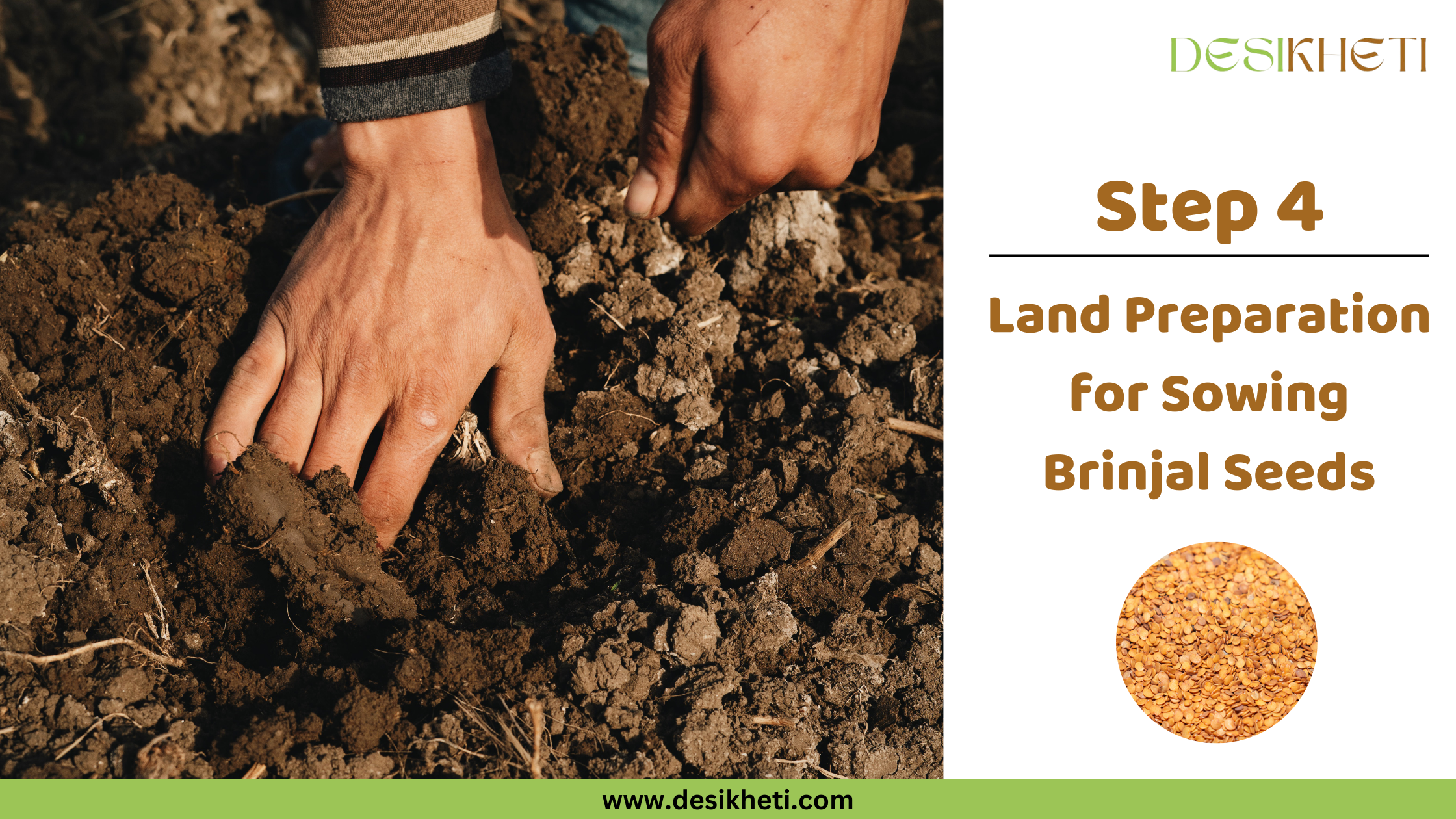 Step 4 Preparing the Soil Bed A poster titled "Step 4 Preparing the Soil Bed" with "www.desikheti.com" at the bottom. The left side shows a person's hands tilling or preparing dark brown soil in an outdoor setting. The right side has a small circular image of brinjal seeds and a "DESIKHETI" logo at the top.