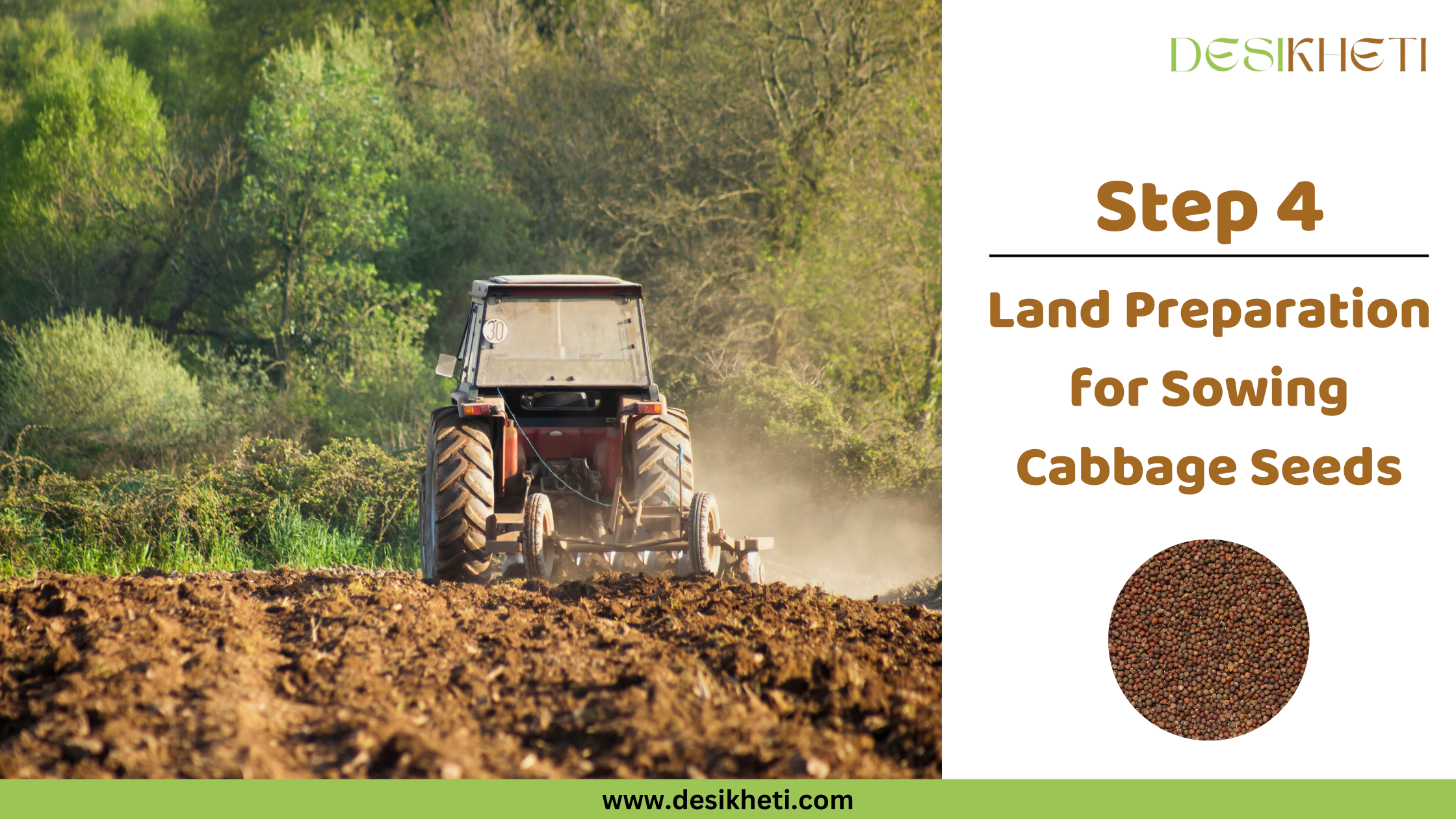 Step 4 Land Preparation for Sowing Cabbage Seeds A poster titled "Step 4 Land Preparation for Sowing Cabbage Seeds" with "www.desikheti.com" at the bottom. The left side shows a red tractor tilling a field of brown soil with green trees in the background. The right side has a small circular image of cabbage seeds and a "DESIKHETI" logo at the top.
