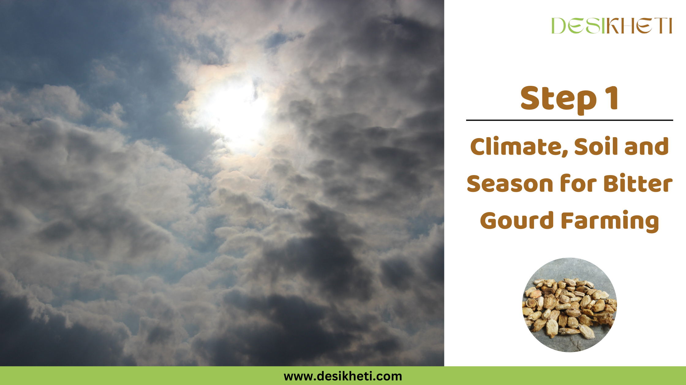 Step 1 Climate, Soil and Season for Bitter Gourd Farming A view of the sky shows the sun partially obscured by thick, dark gray clouds, suggesting potentially overcast or stormy weather. Some lighter patches of sky are also visible. To the right, text reads "Step 1 Climate, Soil and Season for Bitter Gourd Farming" along with a small circular inset image displaying a pile of dry, light brown bitter gourd seeds on a gray surface. The "DESIKHETI" logo is in the top right corner, and the website address "www.desikheti.com" is at the bottom. Given the agricultural context and the cultivation of bitter gourds in India, including Telangana, this image likely illustrates the type of weather and climatic conditions relevant to bitter gourd farming in that region. The presence of heavy clouds might suggest the importance of understanding weather patterns for successful cultivation.