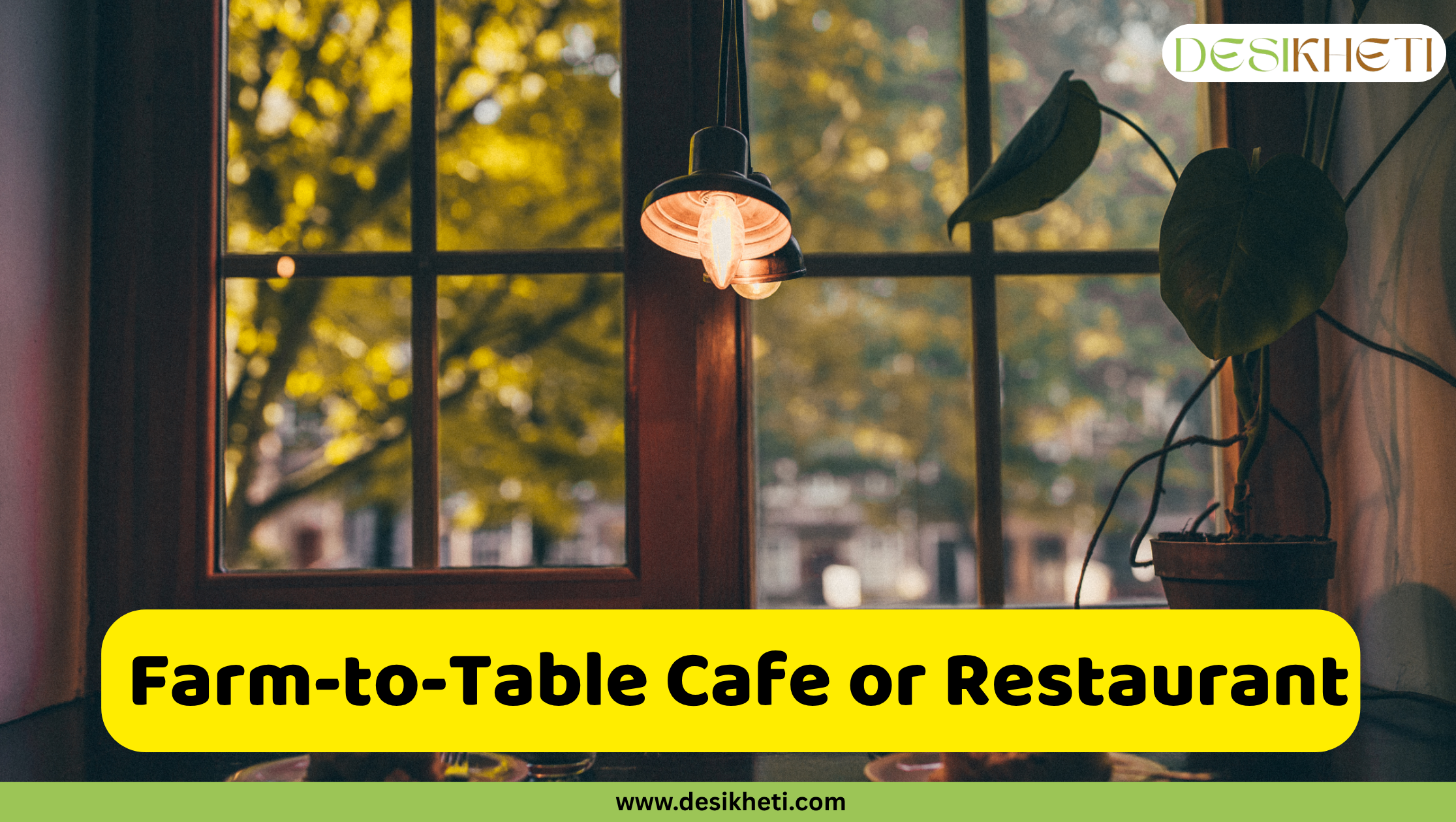 Farm-to-Table Café or Restaurant A warm, inviting indoor scene is captured, likely near a window. A pendant light with a glowing bulb hangs from the ceiling, illuminating a corner with a potted plant featuring large, heart-shaped leaves. The window behind shows a blurred view of the outdoors, with warm, golden-yellow foliage suggesting autumn or a similar season. The window frame is dark wood, and the overall ambiance is cozy. A bright yellow rounded rectangle is superimposed at the bottom, displaying the text "Farm-to-Table Cafe or Restaurant" in bold, dark text. The "DESIKHETI" logo is visible in the top right corner, and the website address "www.desikheti.com" is at the bottom. This image likely illustrates the concept of a café or restaurant that sources its ingredients directly from farms, emphasizing fresh, local produce.