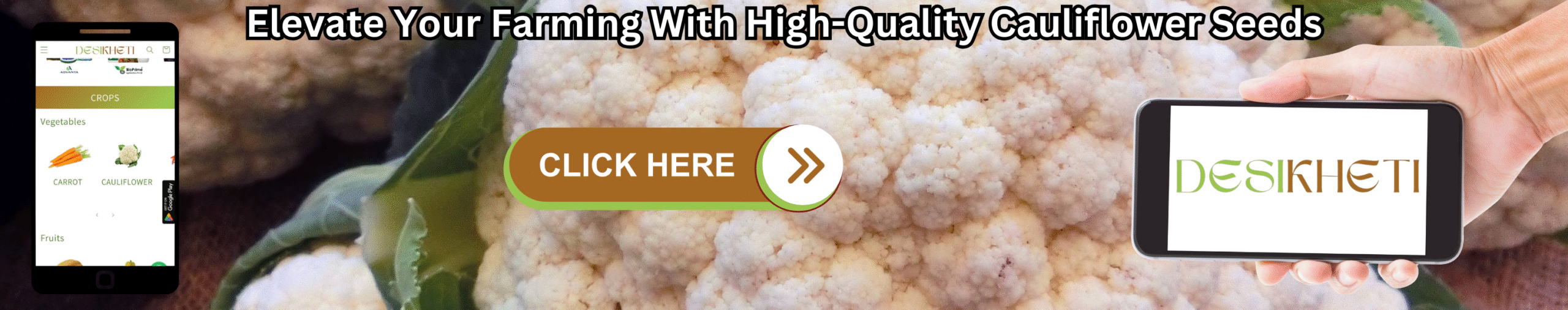 Elevate Your Farming With High-Quality Cauliflower Seeds Banner advertising "Elevate Your Farming With High-Quality Cauliflower Seeds" with a field of white cauliflowers in the background. A smartphone on the left displays a farming app, and a hand on the right holds a smartphone showing the "DESIKHETI" logo. A "CLICK HERE" button is central.