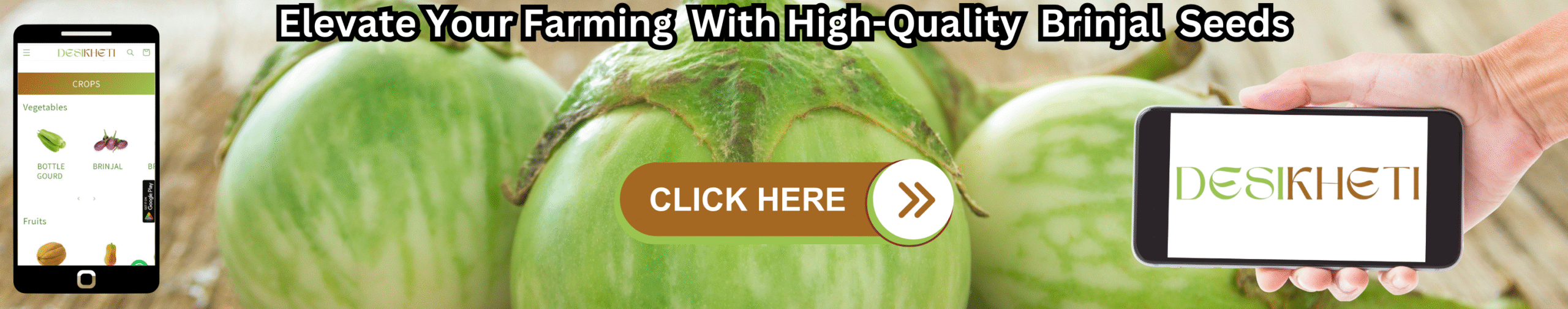 Elevate Your Farming With High-Quality Brinjal Seeds Banner advertising 'Elevate Your Farming With High-Quality Brinjal Seeds' with green brinjals in the background. A smartphone on the left displays a farming app, and a hand on the right holds a smartphone showing the 'DESIKHETI' logo. A 'CLICK HERE' button is central."