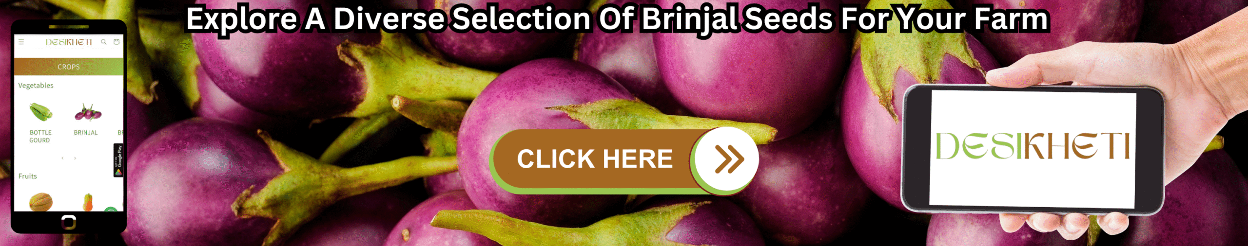 Explore A Diverse Selection Of Brinjal Seeds For Your Farm Banner advertising 'Explore A Diverse Selection Of Brinjal Seeds For Your Farm' with purple brinjals in the background. A smartphone on the left displays a farming app, and a hand on the right holds a smartphone showing the 'DESIKHETI' logo. A 'CLICK HERE' button is central."