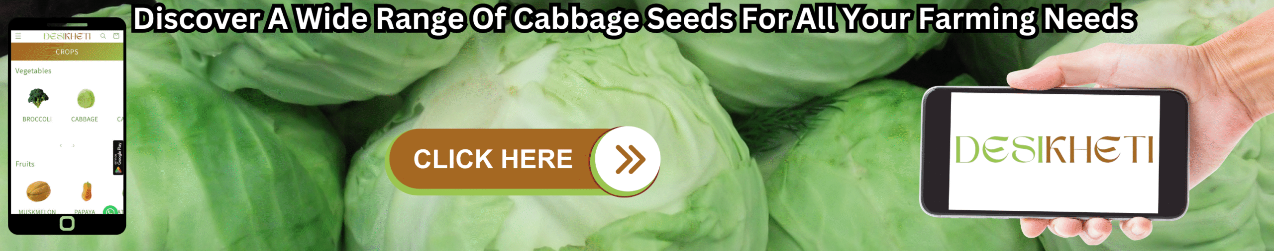 Discover A Wide Range Of Cabbage Seeds For All Your Farming Needs Banner advertising "Discover A Wide Range Of Cabbage Seeds For All Your Farming Needs". The background features a large pile of purple brinjals. On the left, a smartphone displays a mobile app with a green header and vegetable icons. In the center, a brown "CLICK HERE" button with an arrow points right. On the right, a hand holds a smartphone displaying the "DESIKHETI" logo. The bottom of the banner reads "www.desikheti.com".