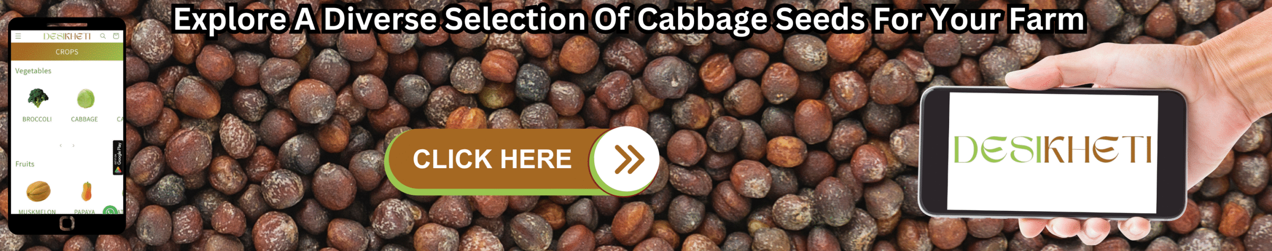 Explore A Diverse Selection Of Cabbage Seeds For Your Farm Banner advertising "Explore A Diverse Selection Of Cabbage Seeds For Your Farm". The background features a large pile of purple brinjals. On the left, a smartphone displays a mobile app with a green header and vegetable icons. In the center, a brown "CLICK HERE" button with an arrow points right. On the right, a hand holds a smartphone displaying the "DESIKHETI" logo. The bottom of the banner reads "www.desikheti.com".