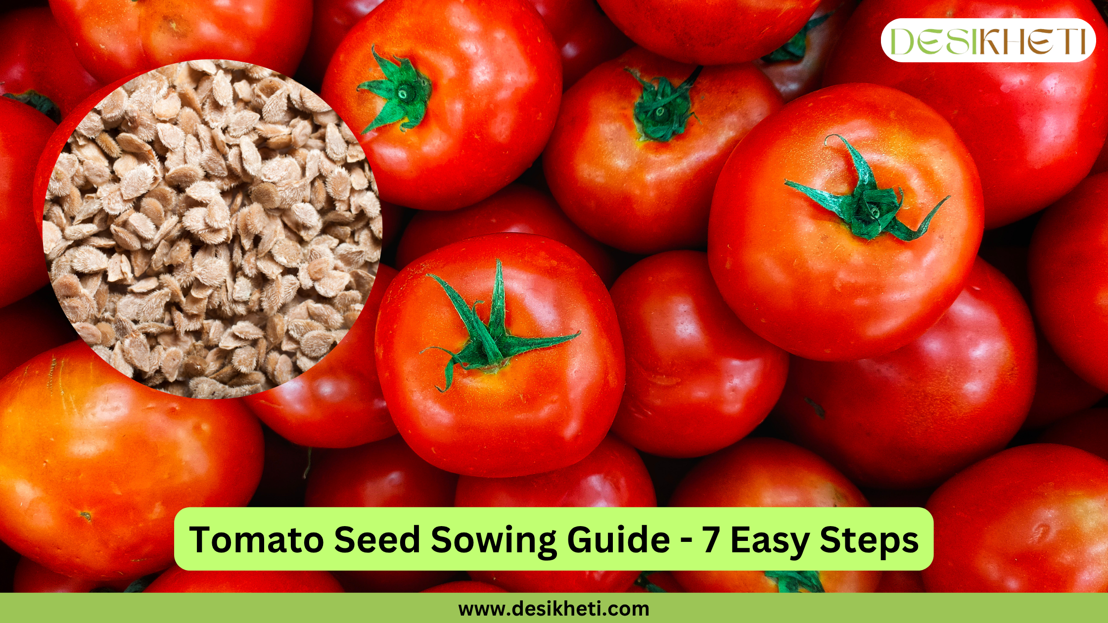 Tomato Seed Sowing Guide - 7 Easy Steps. A close-up of red tomatoes with green stems forms the background, with a circular inset showing a pile of small, brown tomato seeds. The "DESIKHETI" logo is visible at the top right, and the website address "www.desikheti.com" is at the bottom.