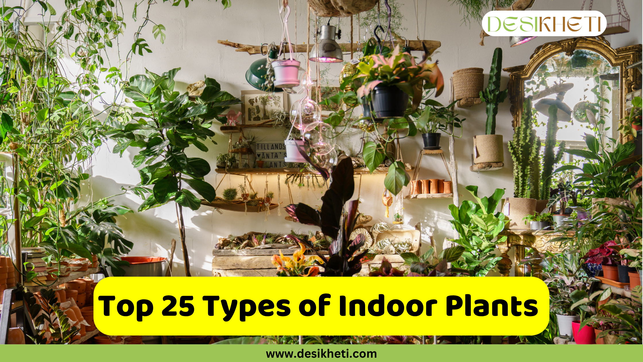 A vibrant collection of indoor plants, including various leafy greens, some flowering plants, and hanging planters, arranged on shelves and on the floor against a white wall. The image features a gold-framed mirror reflecting some of the plants. At the top right corner, the "DESIKHETI" logo is visible. A prominent yellow banner at the bottom reads "Top 25 Types of Indoor Plants" with "www.desikheti.com" displayed below it.