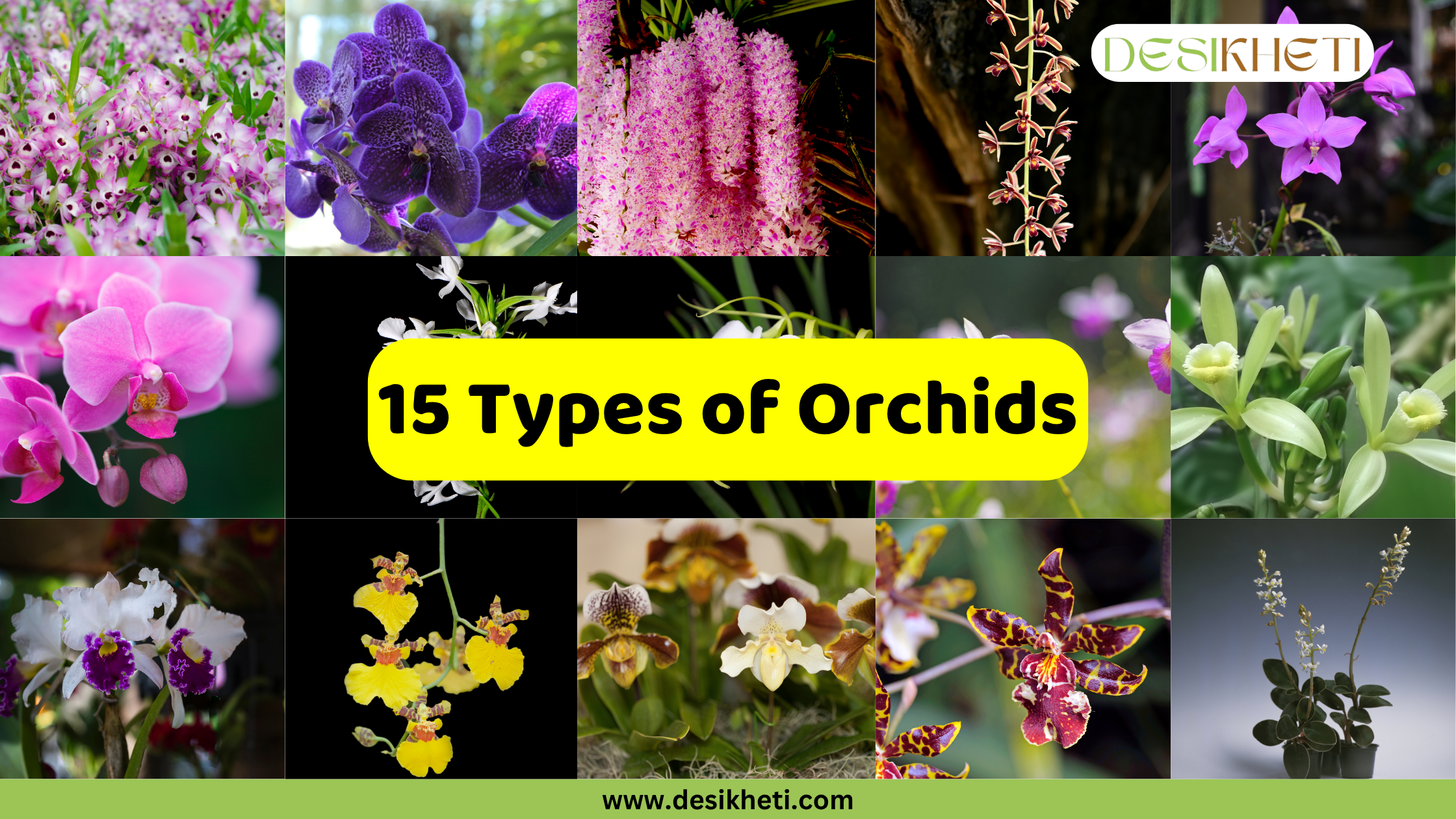 A collage showcasing 15 different types of orchids, with the text "15 Types of Orchids" in a yellow text box at the center. The collage features various orchids in shades of purple, pink, white, yellow, and red, arranged in a grid. The top right corner has a "DESIKHETI" logo, and the bottom center has "www.desikheti.com".