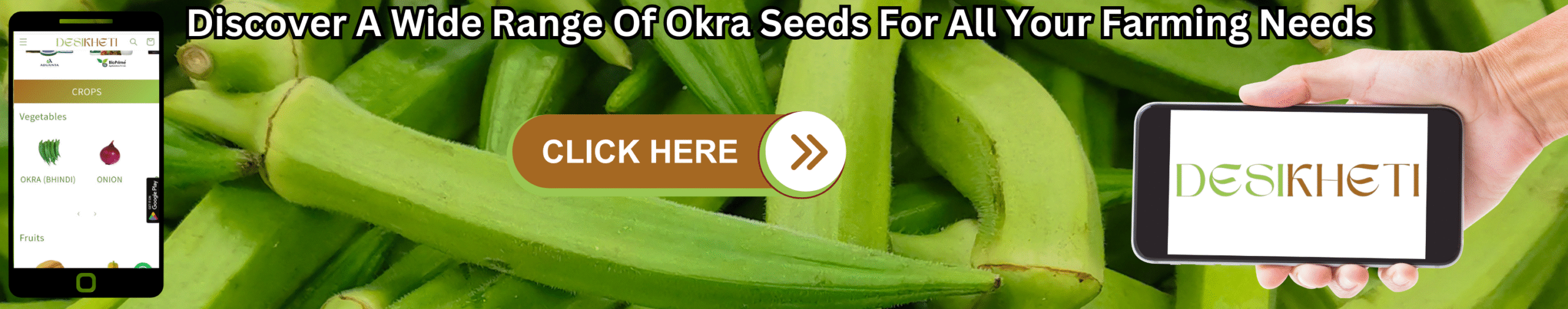 Discover a wide range of okra seeds for all your farming needs. Discover a wide range of okra seeds for all your farming needs. A close-up of fresh okra pods is shown alongside a mobile phone displaying various seed options and a hand holding another phone displaying the text "DESIKHETI". A "CLICK HERE" button with a right-pointing arrow is superimposed on the image of the okra pods. Sources