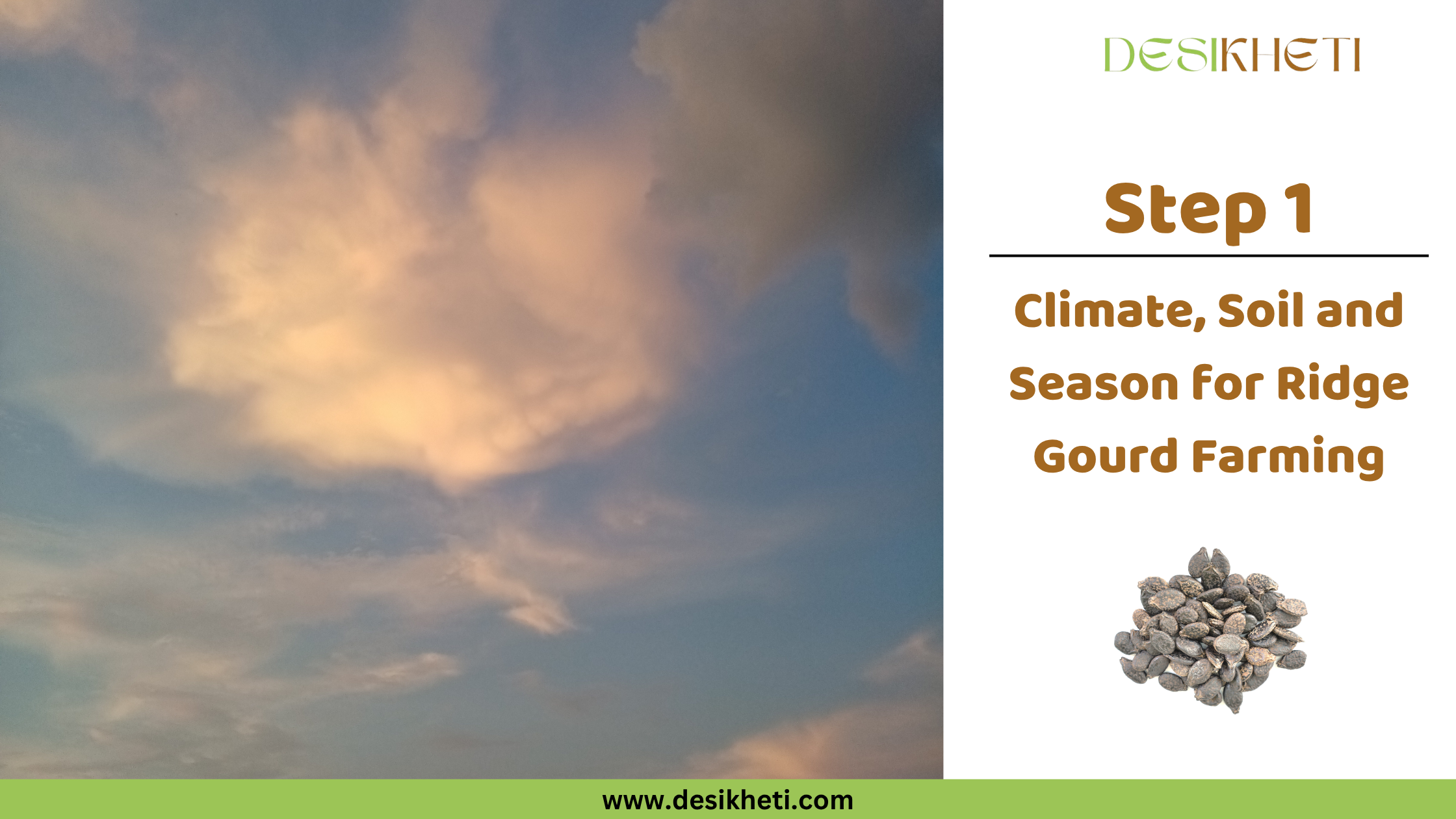 Step 1: Climate, Soil and Season for Ridge Gourd Farming. Step 1: Climate, Soil and Season for Ridge Gourd Farming. A sky with soft, diffuse clouds is shown. The "DESIKHETI" logo is visible at the top right, along with a circular inset displaying ridge gourd seeds, and the website address "www.desikheti.com".