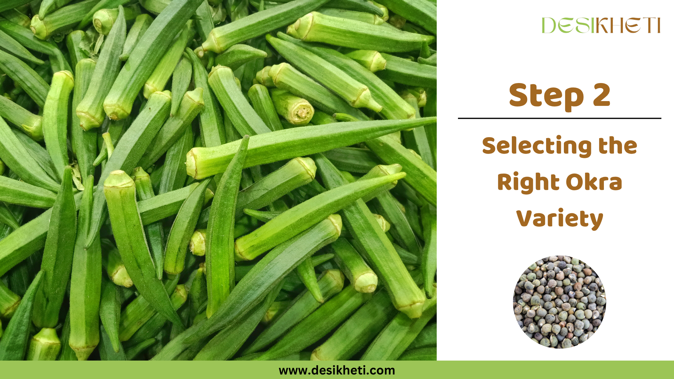 Step 2: Selecting the Right Okra Variety. Step 2: Selecting the Right Okra Variety. A pile of fresh okra pods forms the background, with a circular inset displaying okra seeds. The "DESIKHETI" logo is visible at the top right, and the website address "www.desikheti.com" is at the bottom.