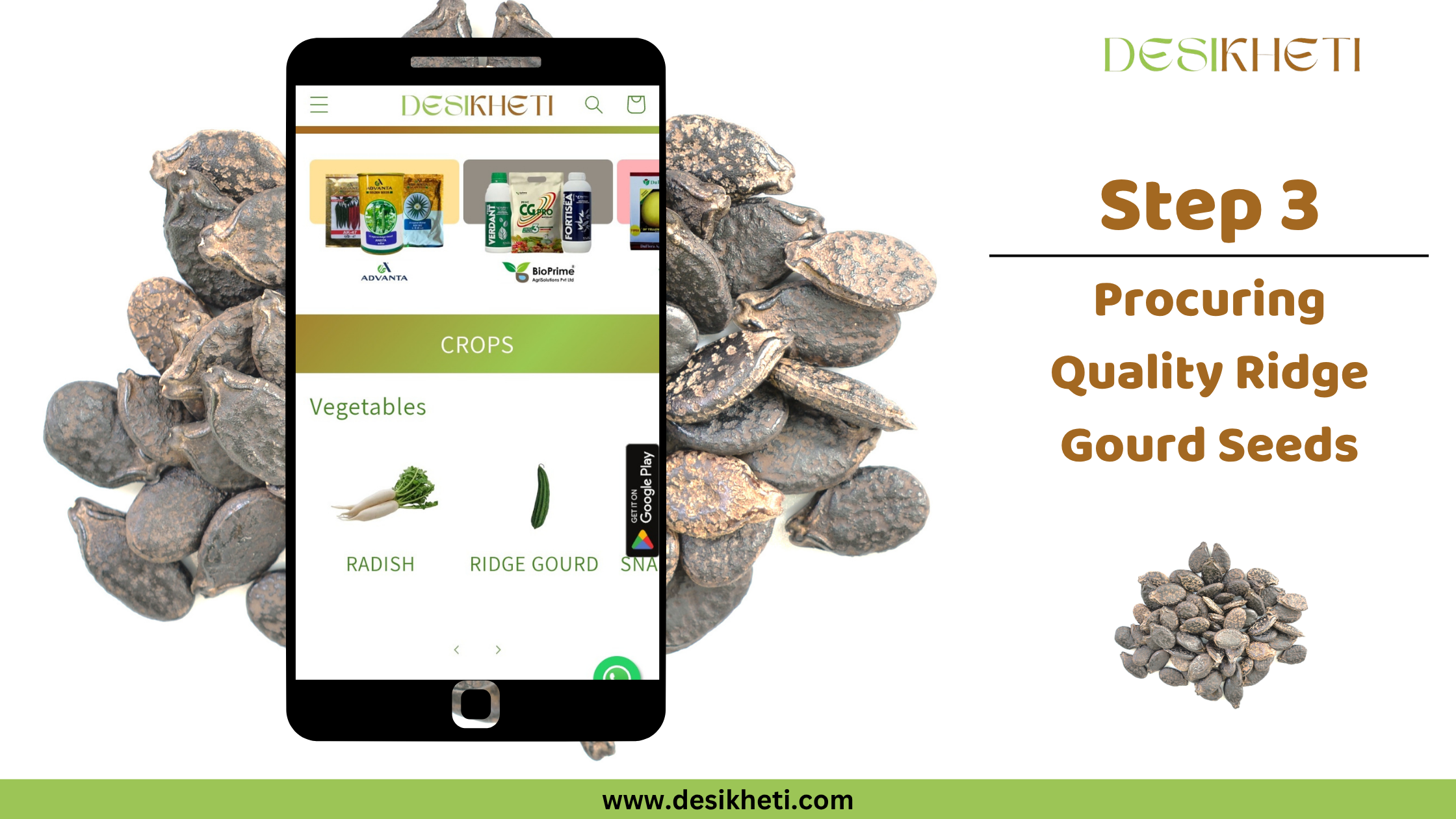 Step 3: Procuring Quality Ridge Gourd Seeds. Step 3: Procuring Quality Ridge Gourd Seeds. A mobile phone displaying the "DESIKHETI" app interface, showing options for "CROPS", "Vegetables" with icons for "RADISH" and "RIDGE GOURD", is positioned against a background of ridge gourd seeds. The "DESIKHETI" logo is visible at the top right, and a circular inset shows a close-up of ridge gourd seeds. The website address "www.desikheti.com" is at the bottom.