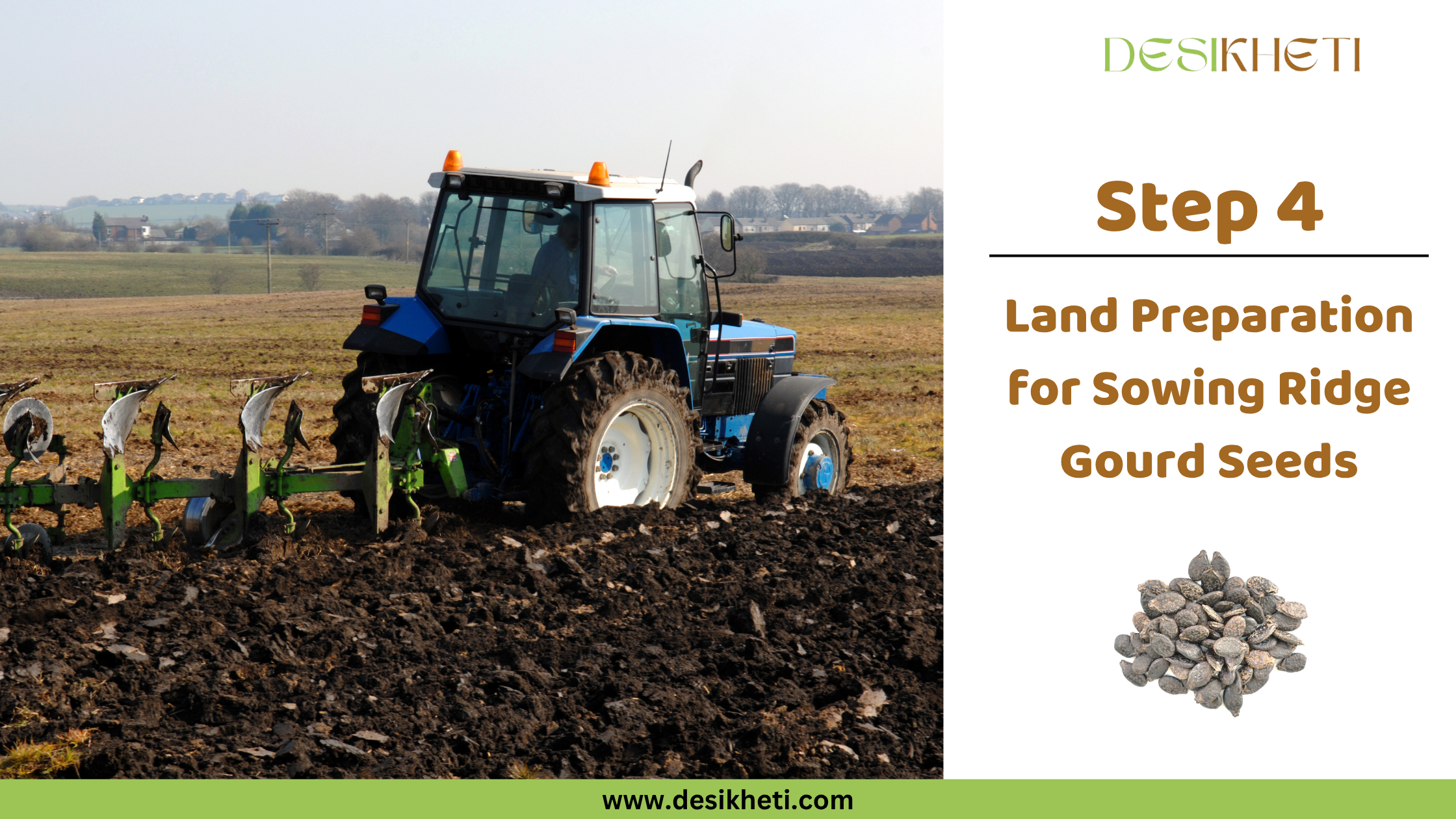 Step 4: Land Preparation for Sowing Ridge Gourd Seeds. Step 4: Land Preparation for Sowing Ridge Gourd Seeds. A blue tractor with a plow attachment is seen tilling a field under a clear sky. The "DESIKHETI" logo is visible at the top right, along with a circular inset displaying ridge gourd seeds, and the website address "www.desikheti.com".