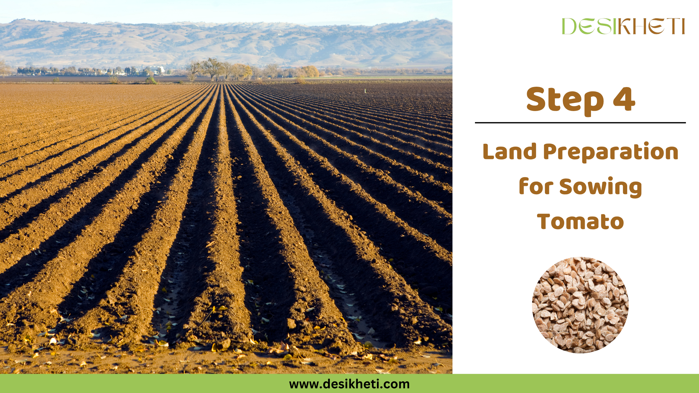 Step 4: Land Preparation for Sowing Tomato Seeds. A mobile phone displays the "DESIKHETI" app interface, showing options for "Vegetables" including "TINDA" and "TOMATO", against a background of dried tomato seeds. The "DESIKHETI" logo is visible at the top right, and the website address "www.desikheti.com" is at the bottom. A circular inset shows a close-up of tomato seeds.