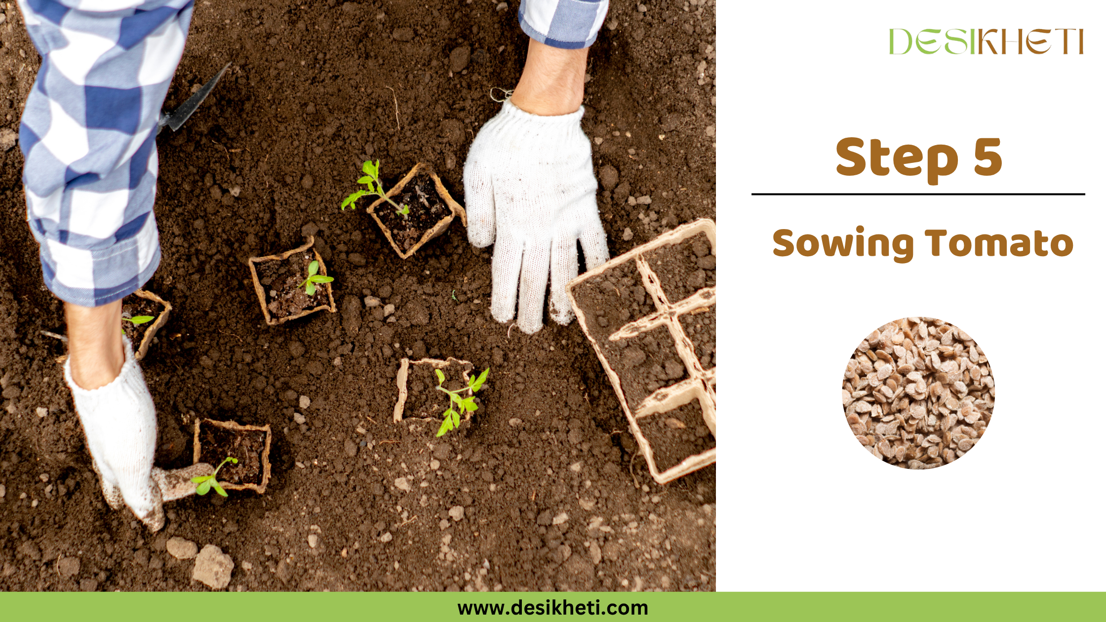 
Step 5: Sowing Tomato. A person wearing white gloves and a plaid shirt is shown transplanting small tomato seedlings from biodegradable pots into dark soil. The "DESIKHETI" logo is visible at the top right, along with a circular inset displaying tomato seeds, and the website address 